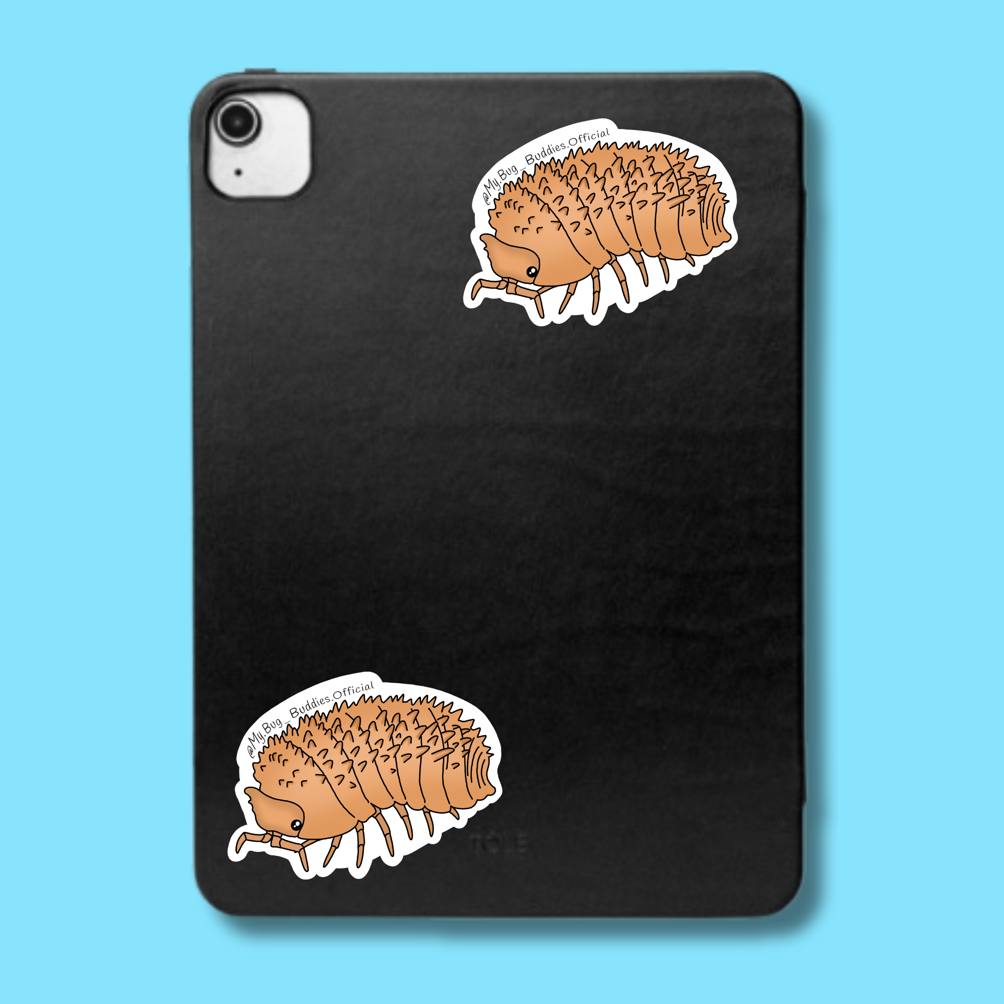 S-017  Pineapple Isopod LC.png