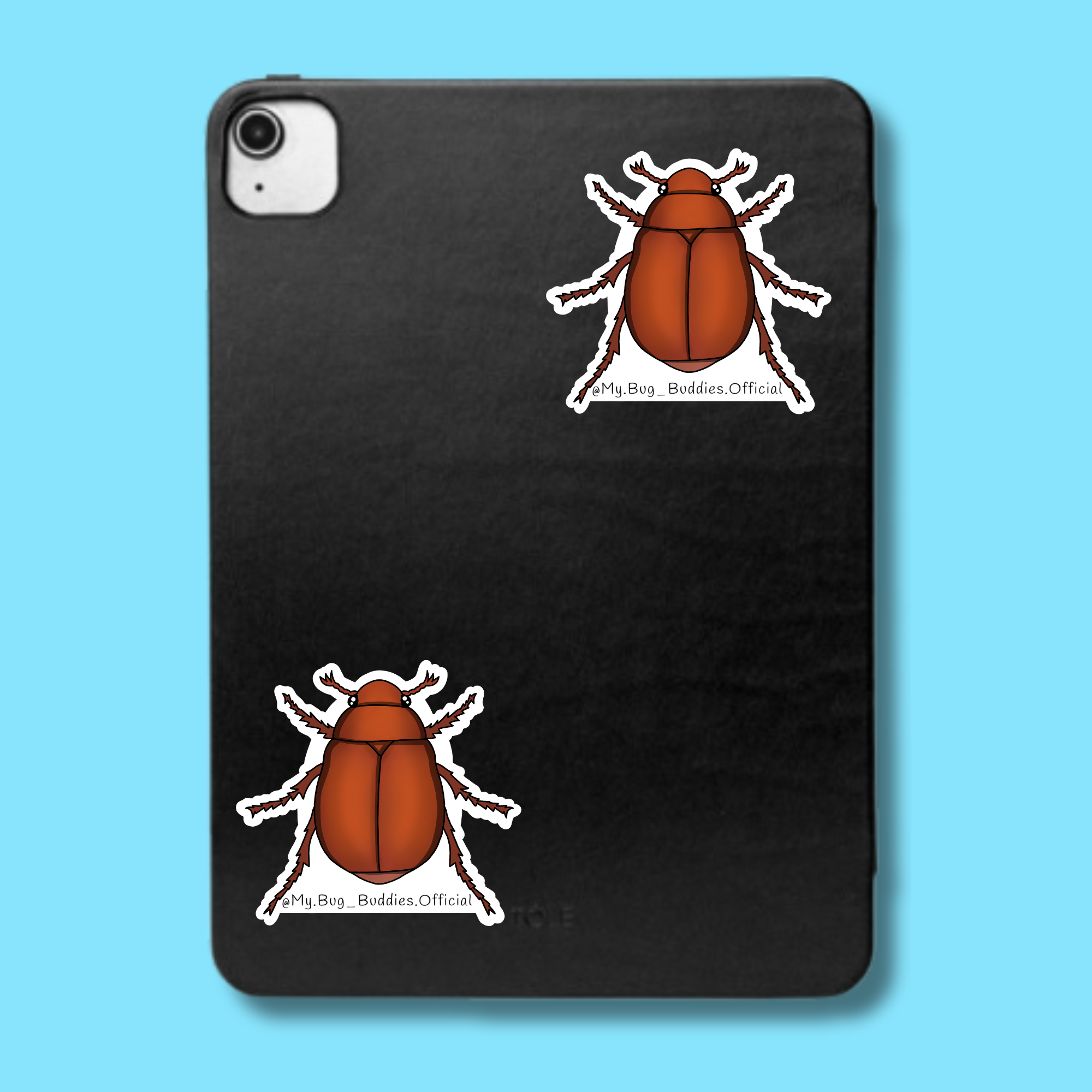 S-081 Brown June Beetle LC.png