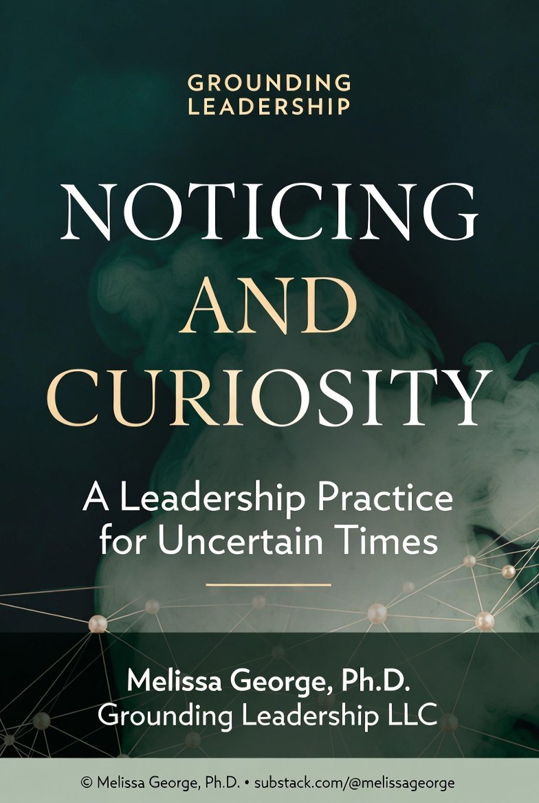 Noticing and Curiosity: A leadership practice for uncertain times