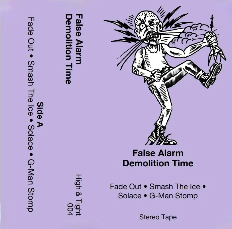 false alarm cover.jpg