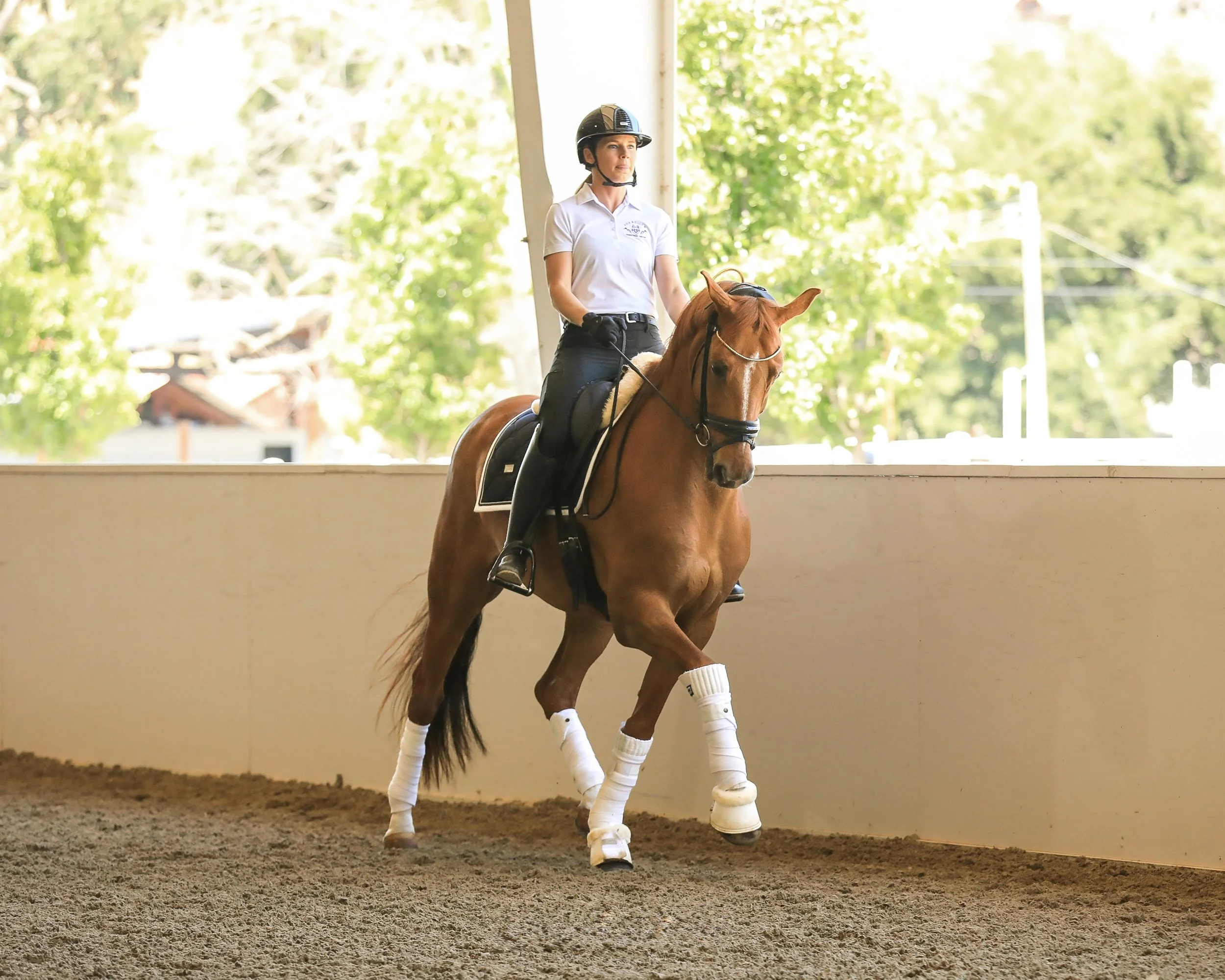 A woman riding a brown horse in an indoor riding arena during daytime. The rider is wearing a black helmet, white polo shirt, black riding pants, and black riding boots. The horse has white wraps around its legs and a black saddle with a saddle pad.