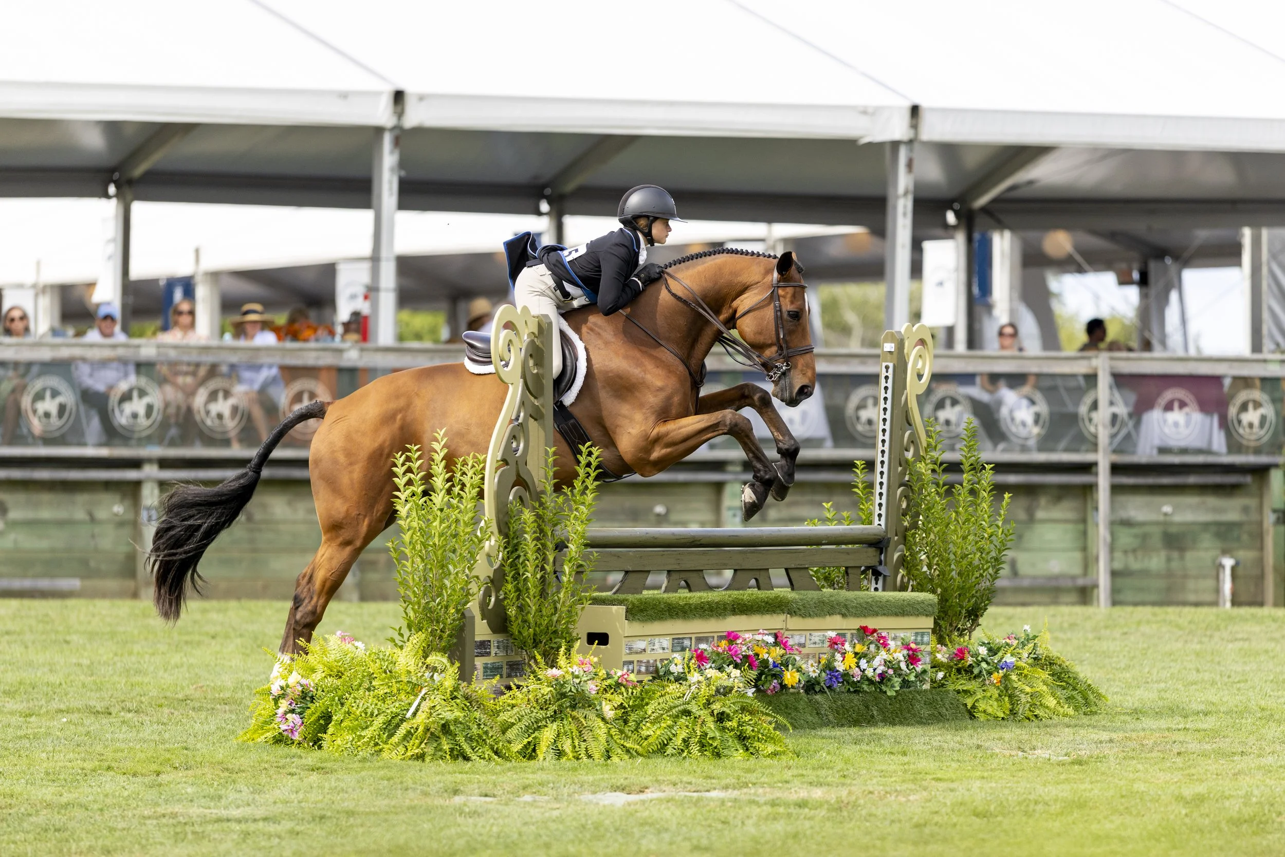 A junior rider on a bay horse jumping a flower box hunter jump during the Hampton Classic Horse Show.