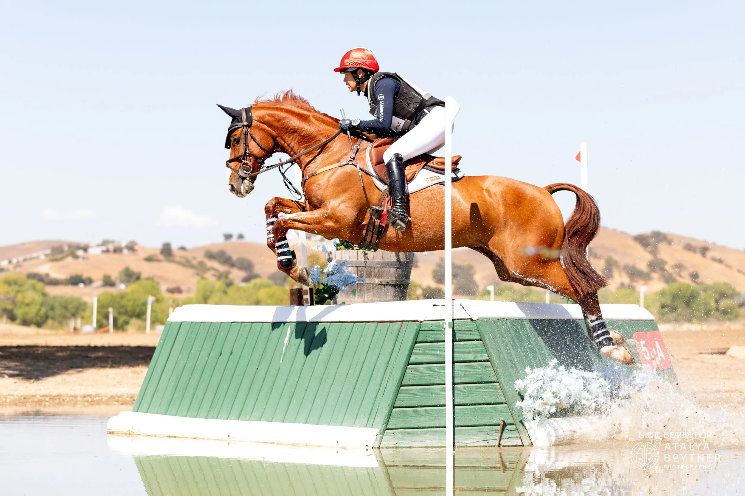 An eventer riding a chestnut horse jumps over a water obstacle during the cross country phase at  the Twin Rivers Fall International equestrian event shot for Atalya Boytner Photography.