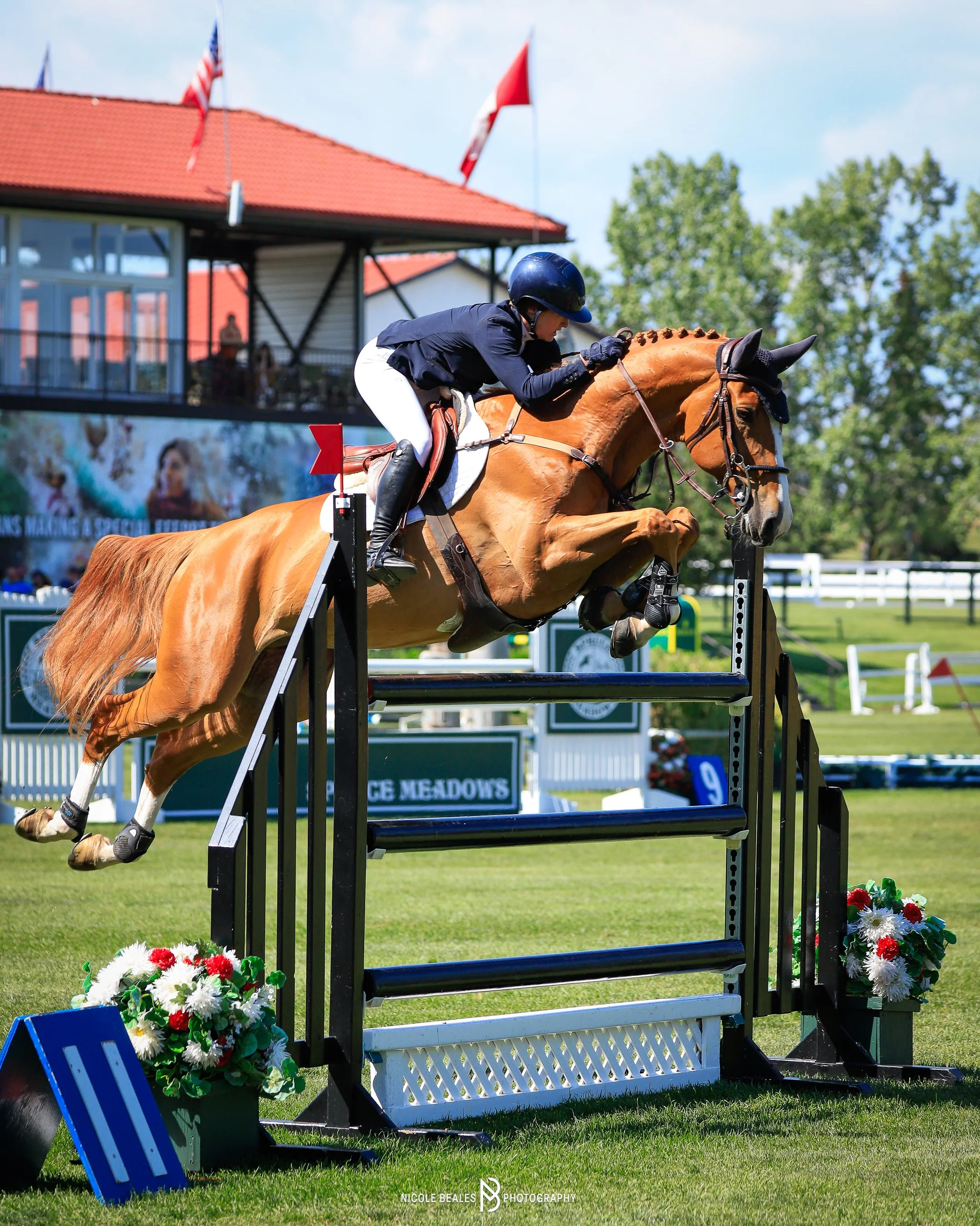 Equestrian rider jumping over a vertical with a horse at a show jumping event, with a backdrop of flags and spectators in the stands.