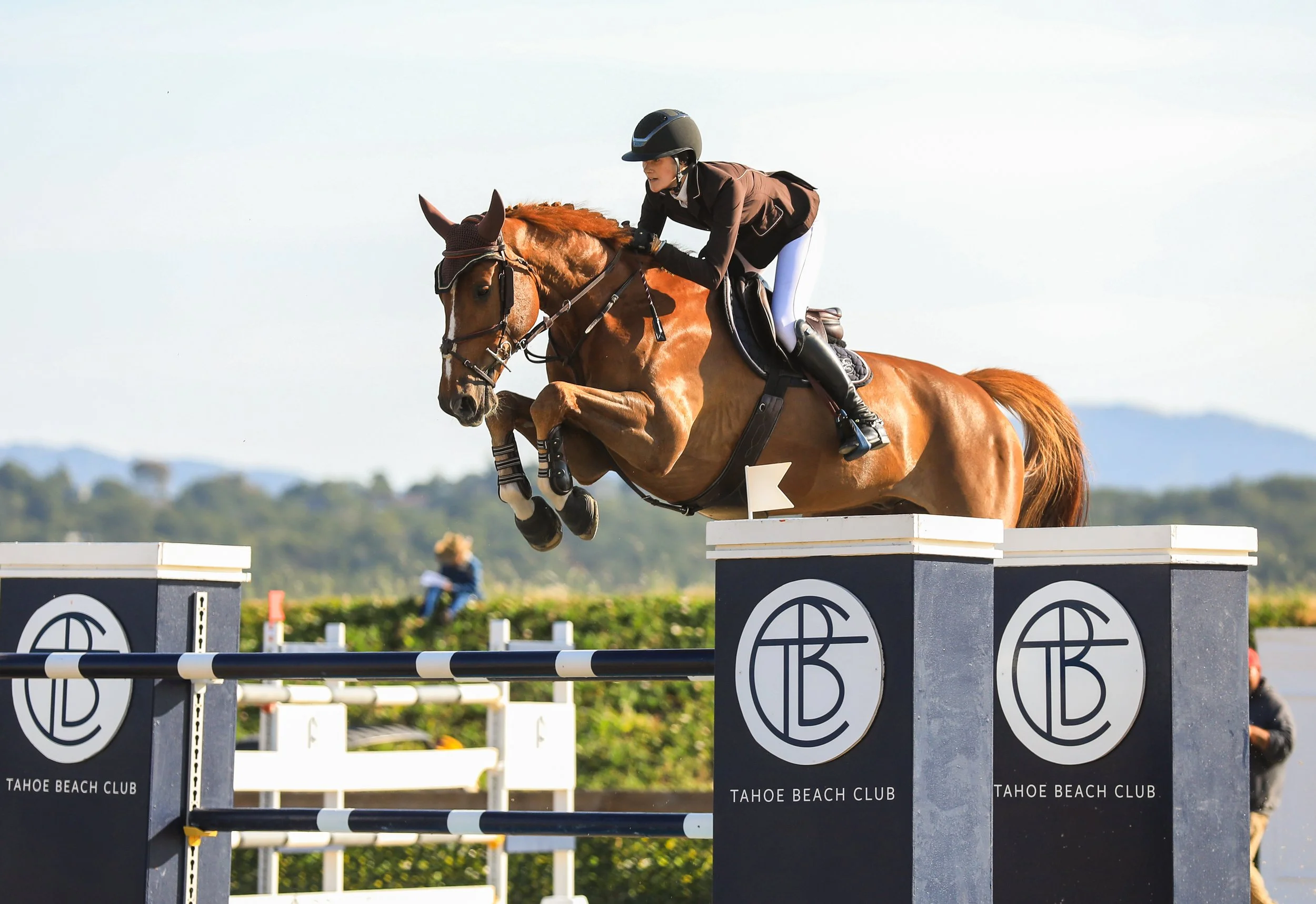 A rider in a brown jacket, white breeches, and black helmet jumps a chestnut horse over a show jumping obstacle at Tahoe Beach Club.
