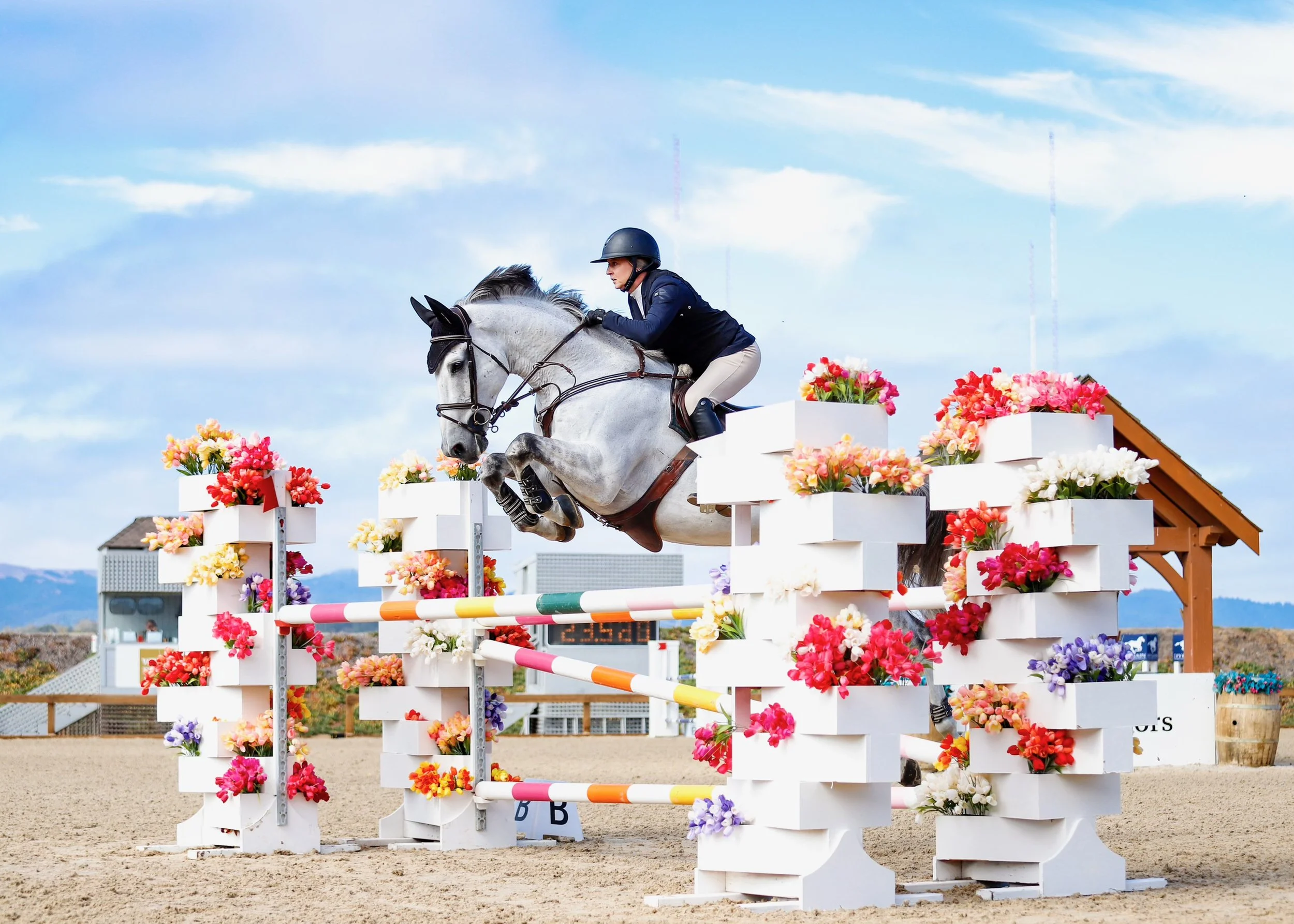 Equestrian jumping competition with horse and rider jumping over colorful oxer, surrounded by floral decorations at Sonoma Horse Park, in Petaluma California.
