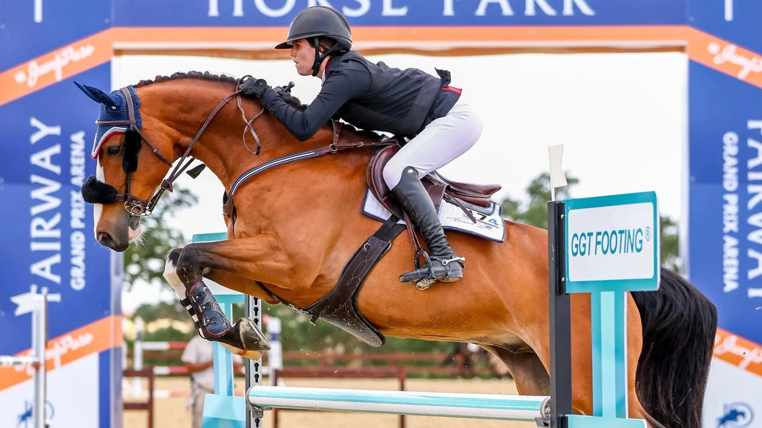 Show Jumping