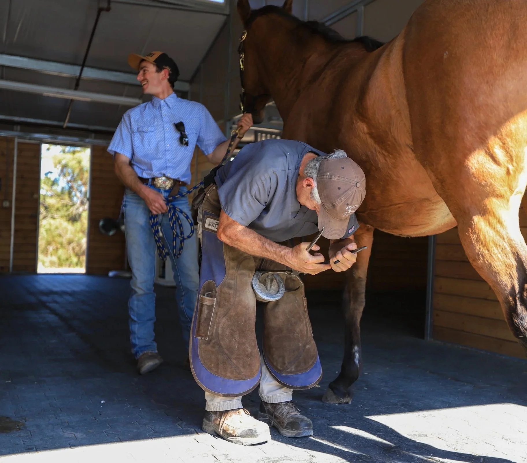 Two men, one younger and one older, examining a horse inside a wooden barn. The older man is wearing protective apron and holding a tool while the younger man holds the horse's halter.