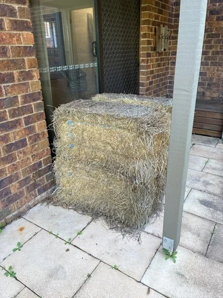 Unique Pest Challenges on Rural Property.JPG