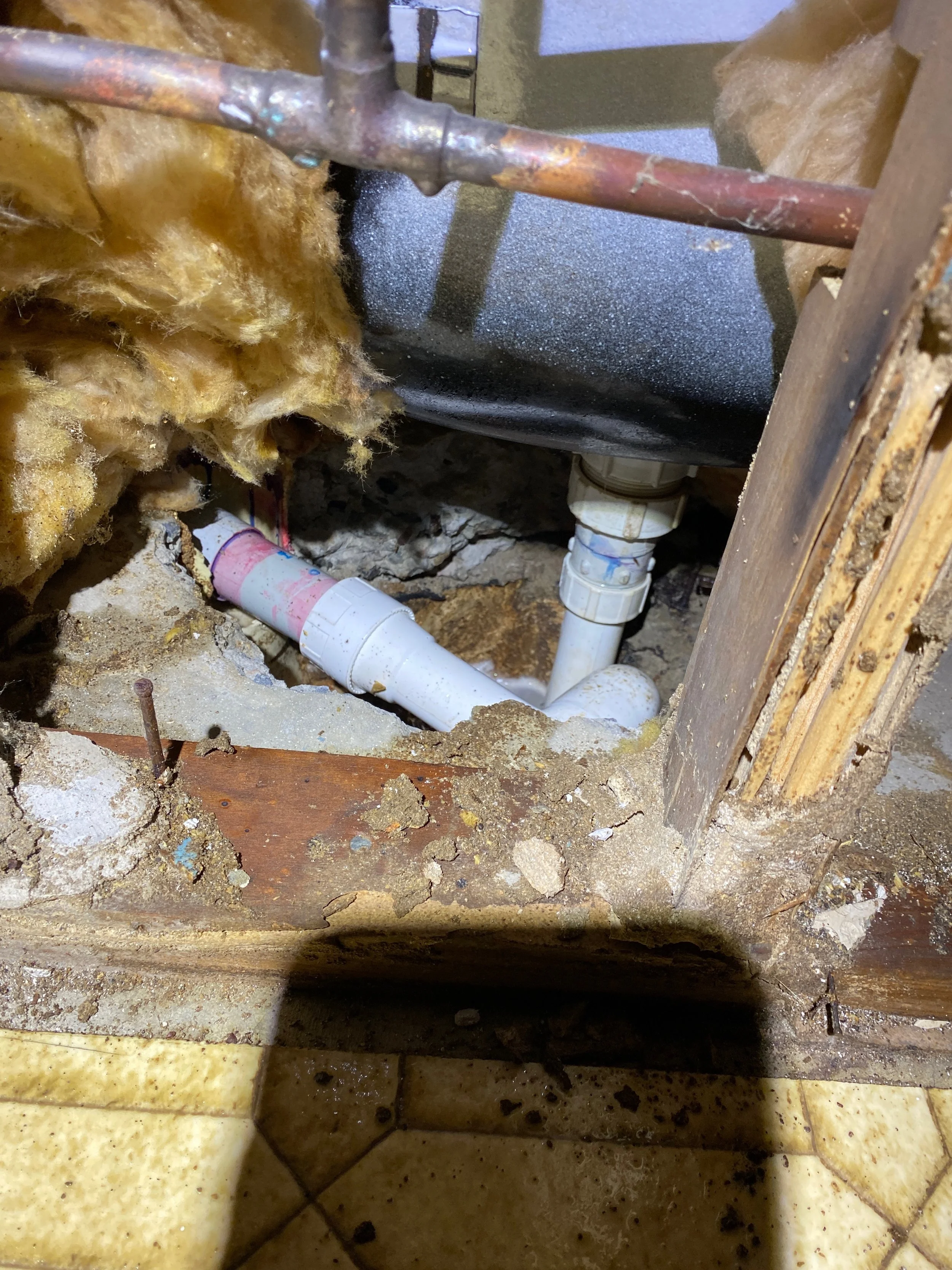 Termite Damage in Tweed Heads Property.jpeg
