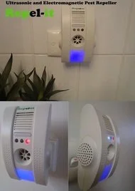 6765616.jpg