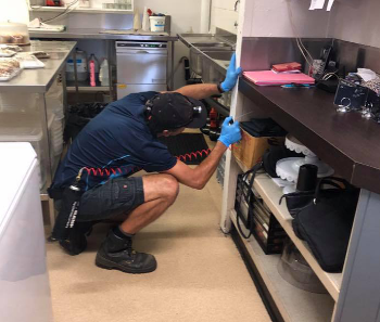 Zone Pest - Pest Inspection Services