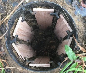 zone-pest-exterra-image-2_orig.jpg
