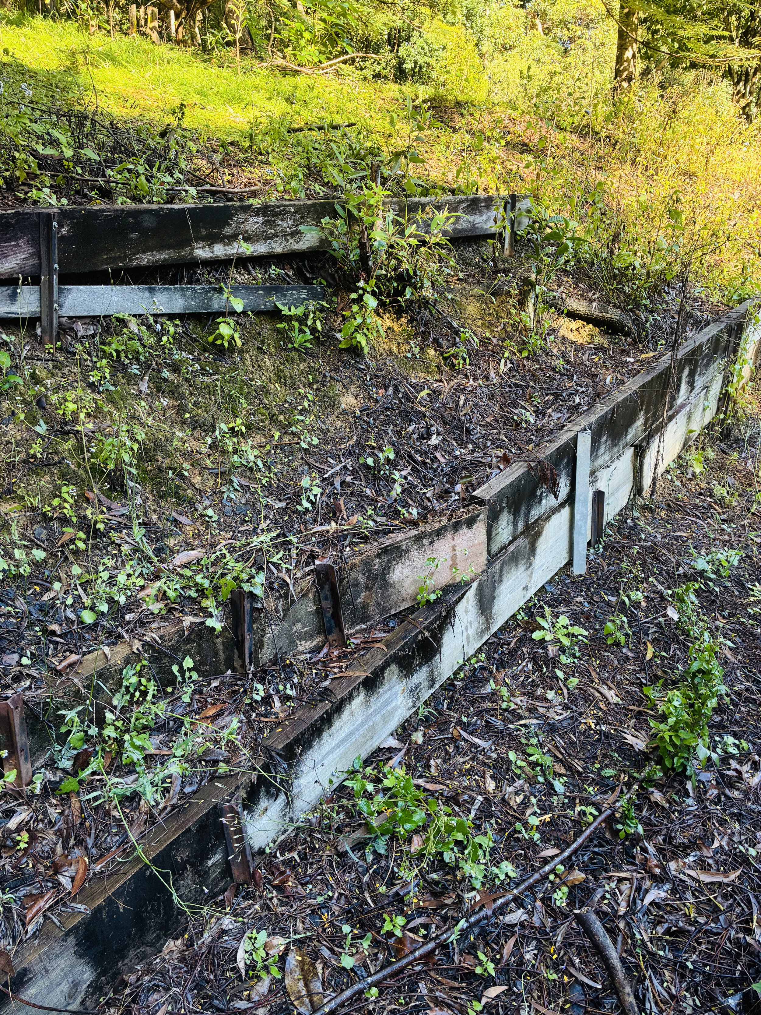 Terraced Timber Landscaping Loved by Termites.jpg