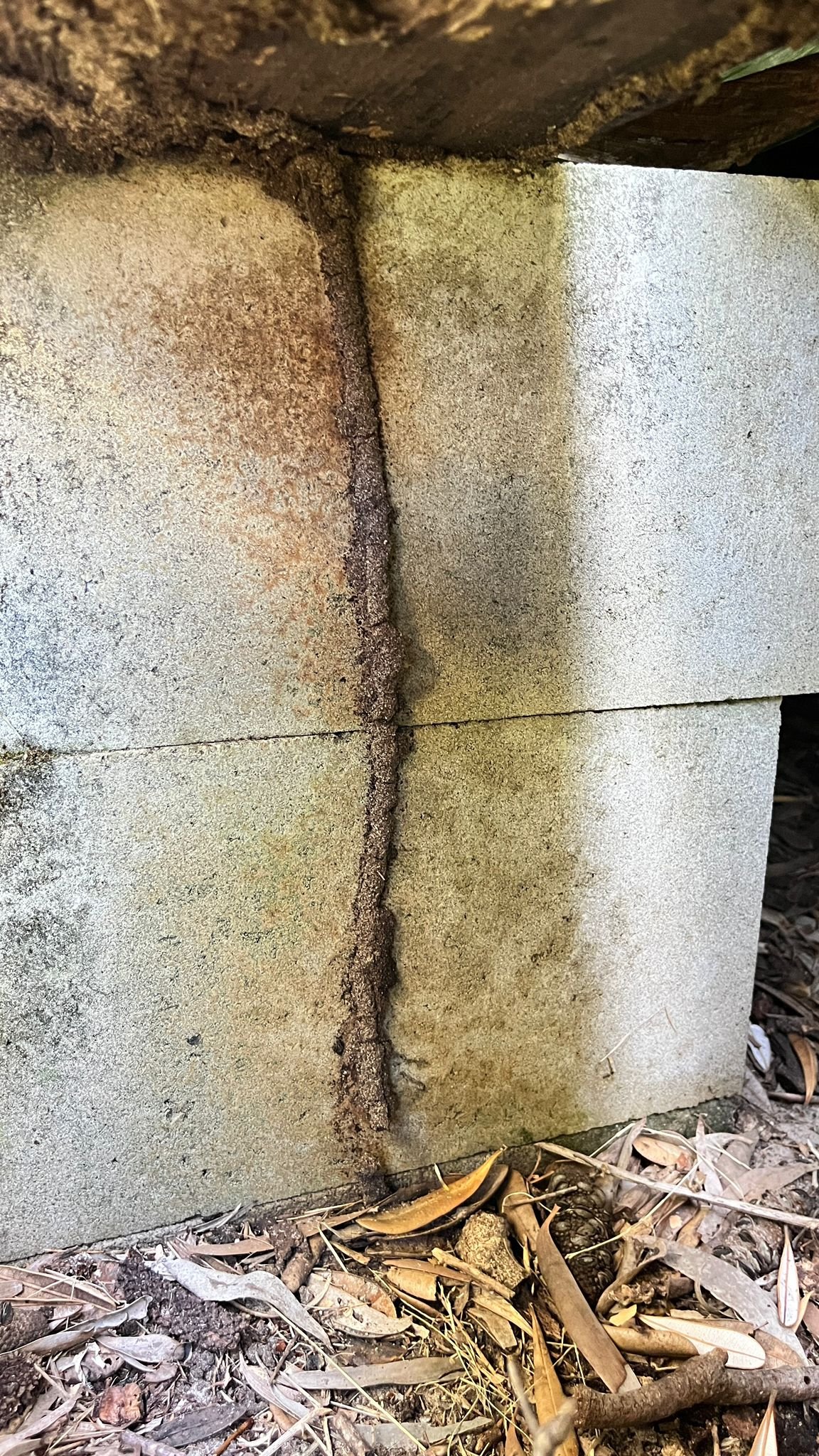 Zone Pest Termite Inspections Mud Track.jpg