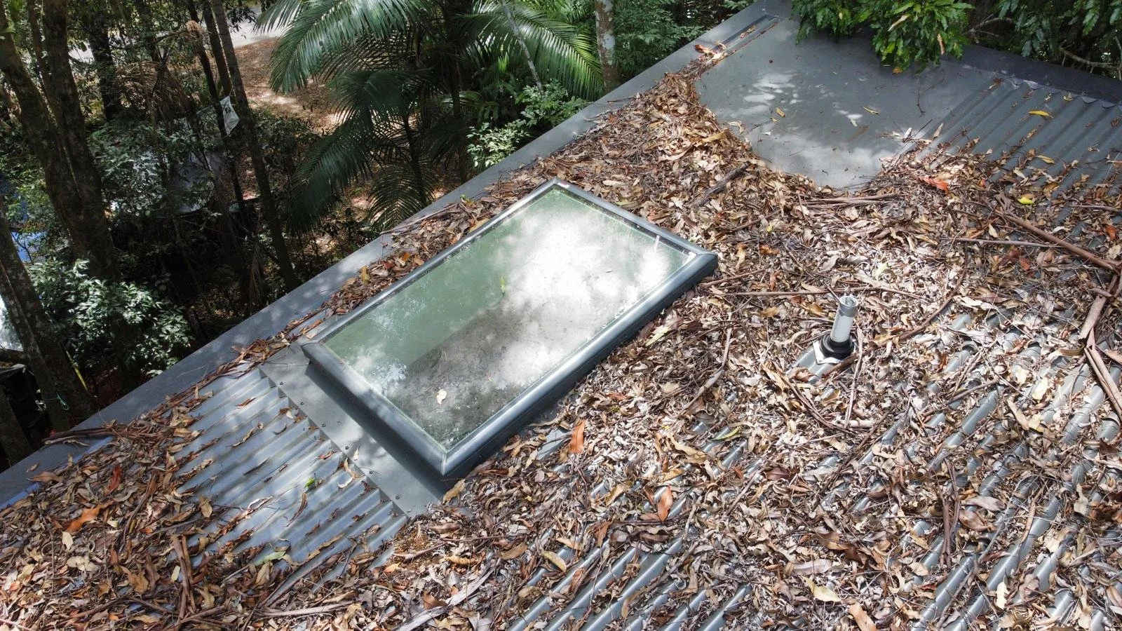 Zone Pest uses drone technology for inspections.JPEG