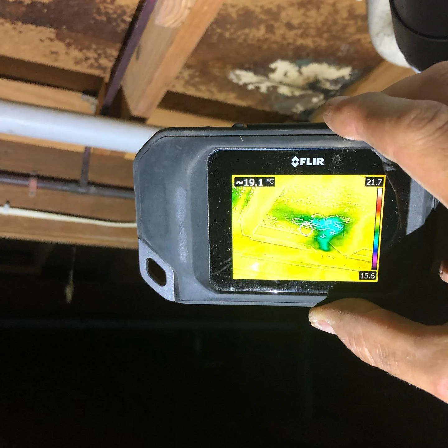 Use of Technology During Termite Inspection.jpg