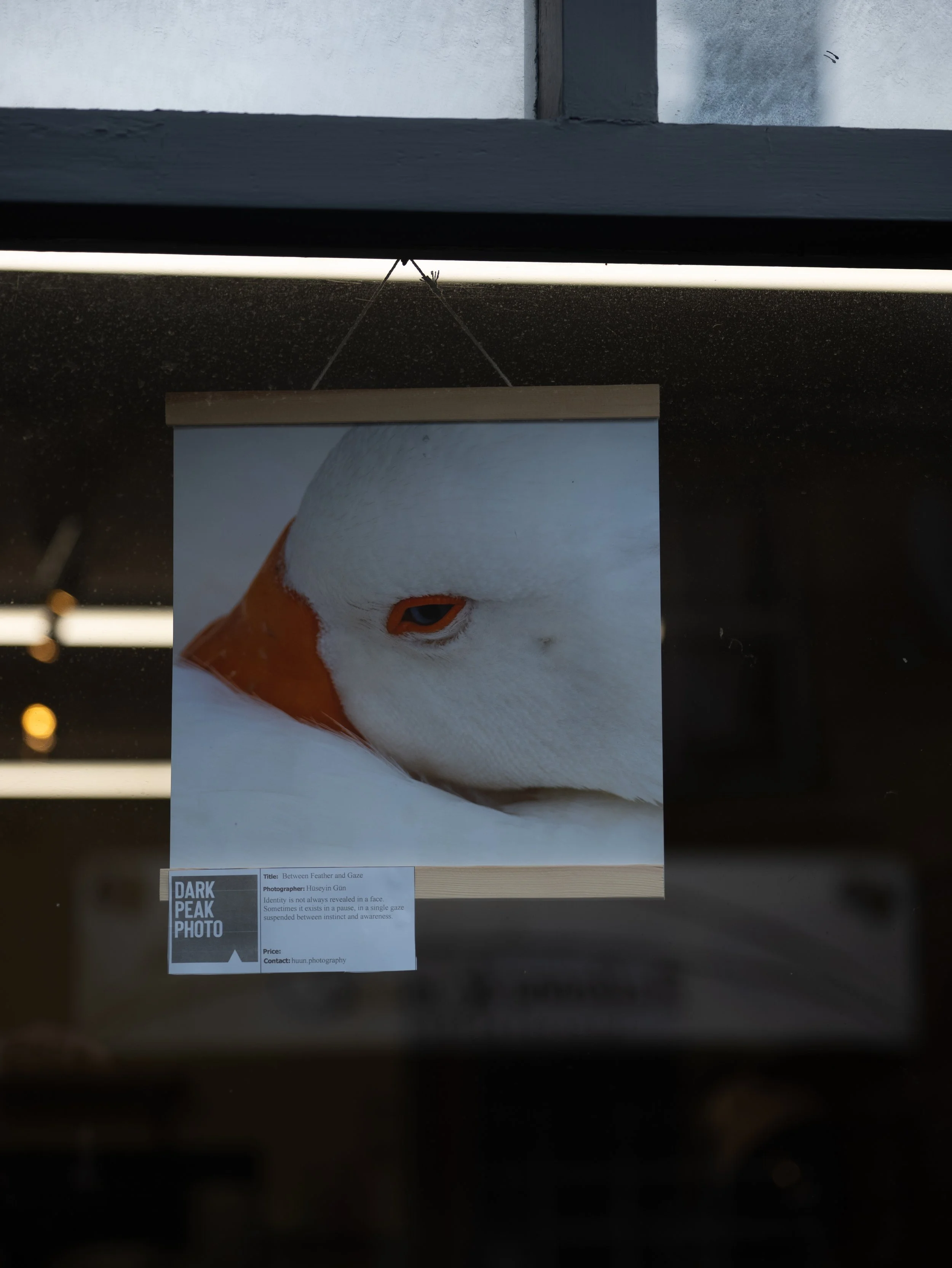 Huseyin Gun - Gary Peters.jpg