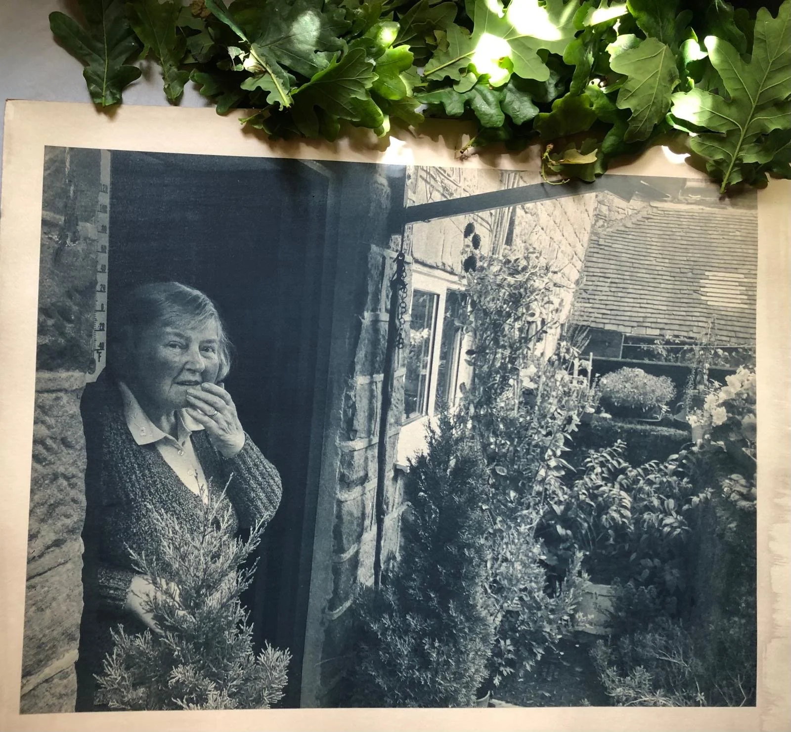 Earth Bound Toning Demonstration