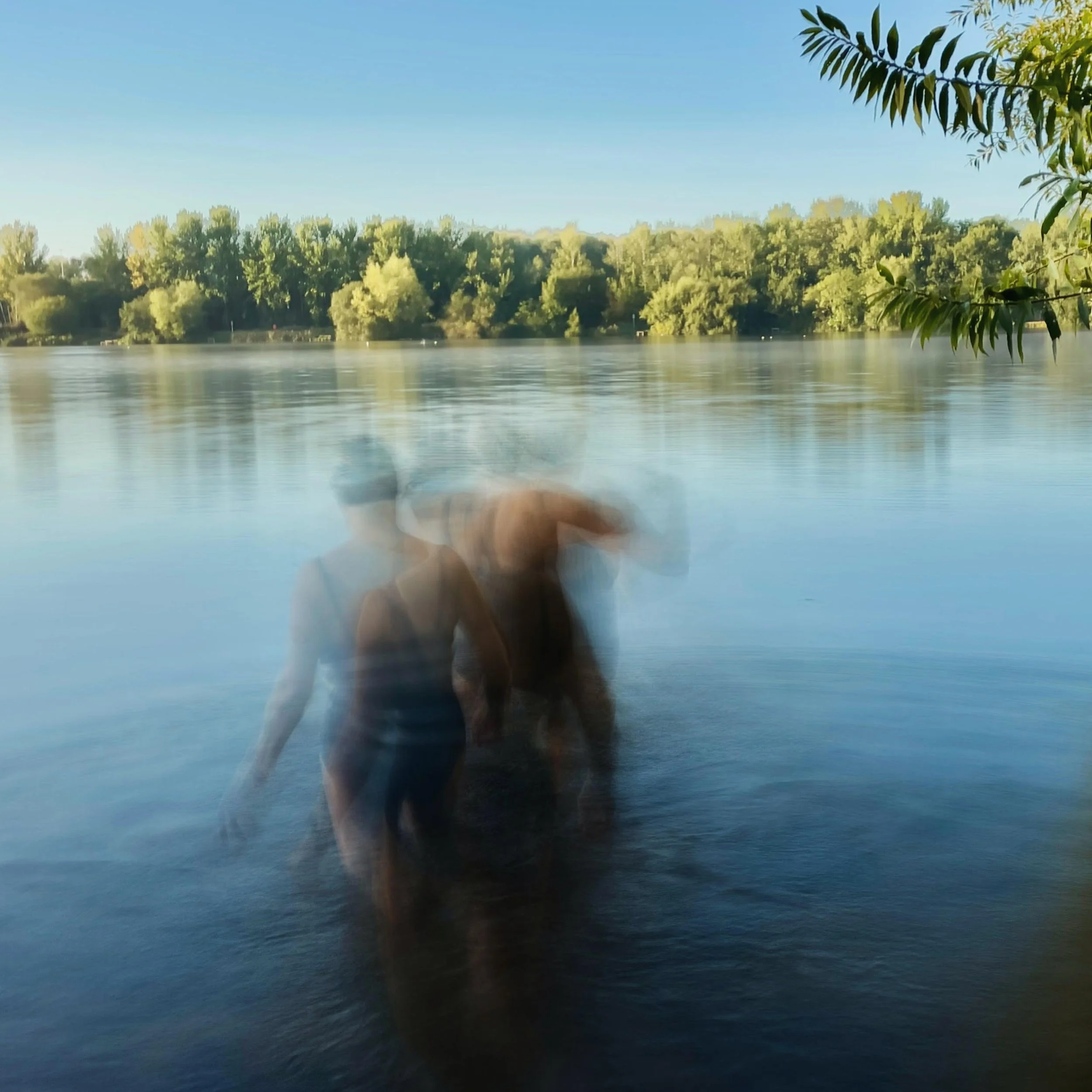 Heather Greenbank - Dippers.jpg
