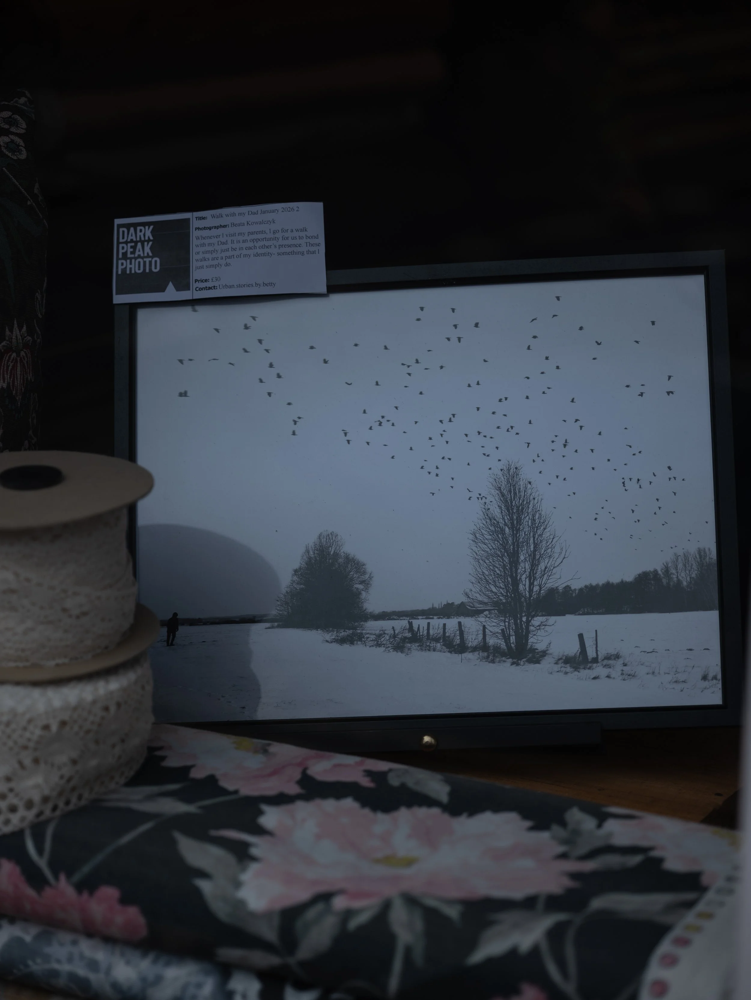 Beata Kowalezyk - The Sowing Box.jpg