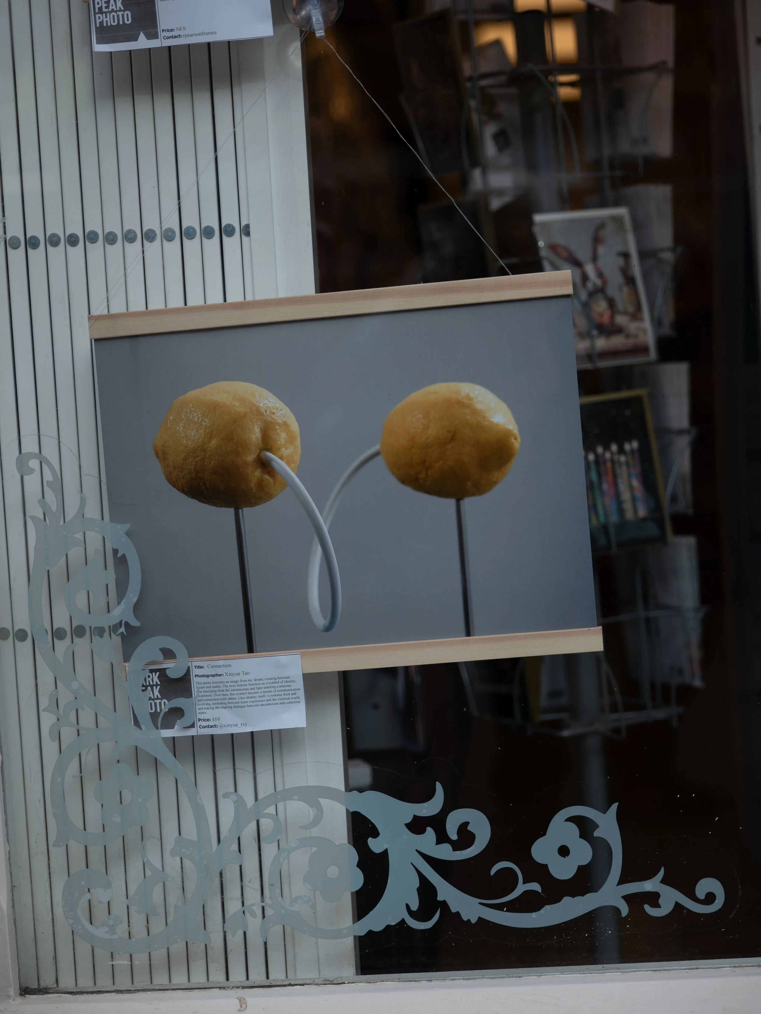 Xinyue Tao - Embellish.jpg