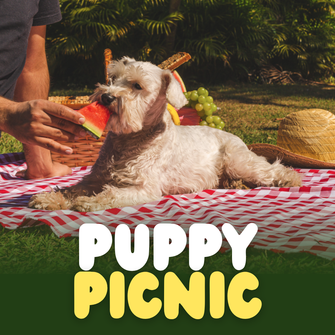 Puppy Picnic 