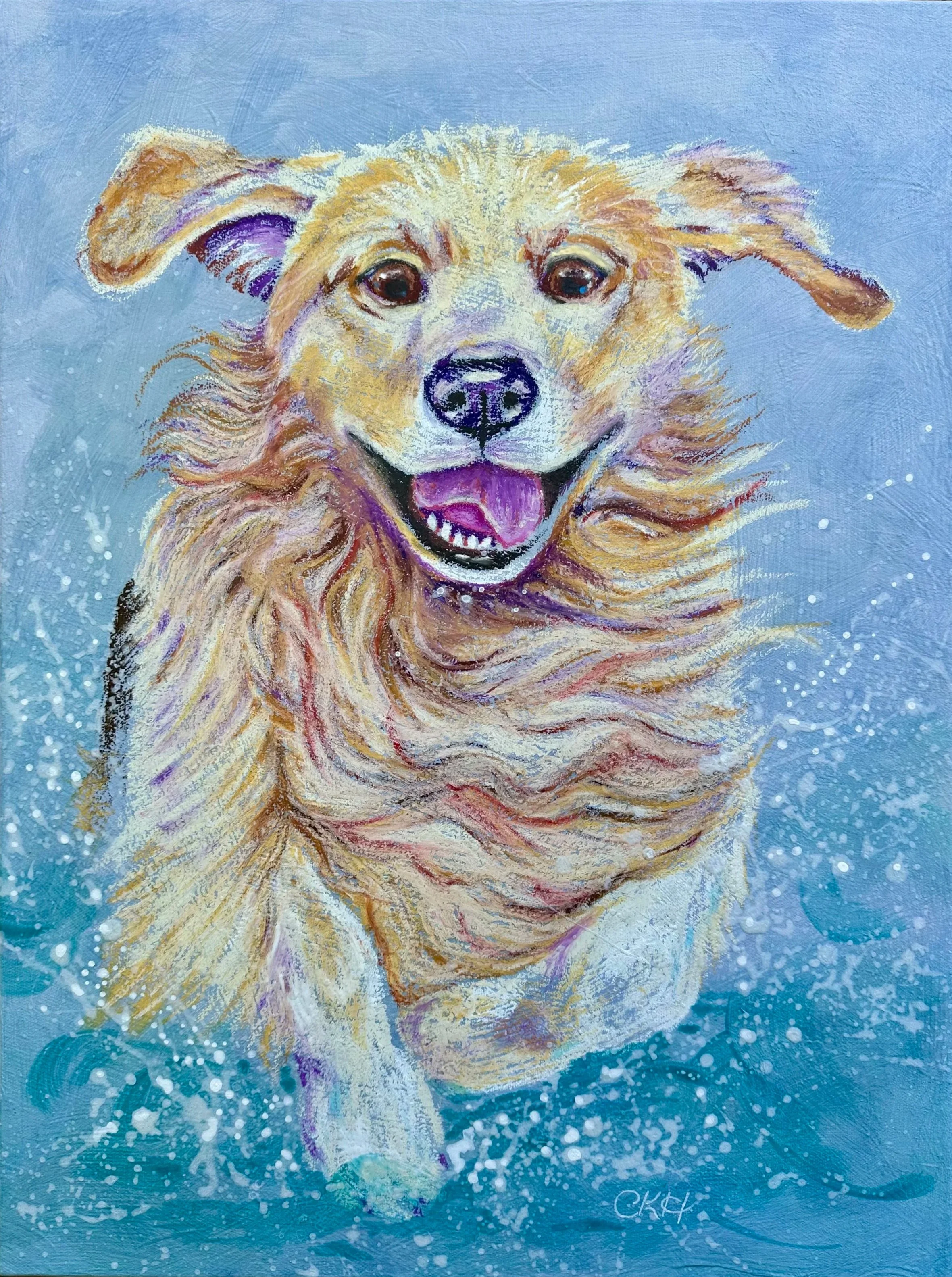Golden retriever in water