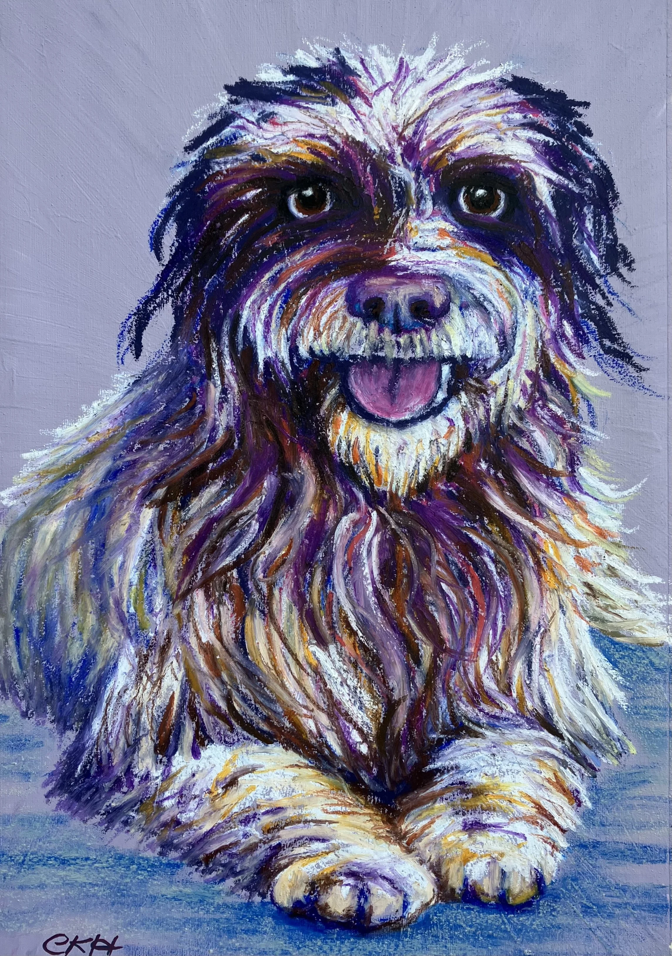 Mutt dog
