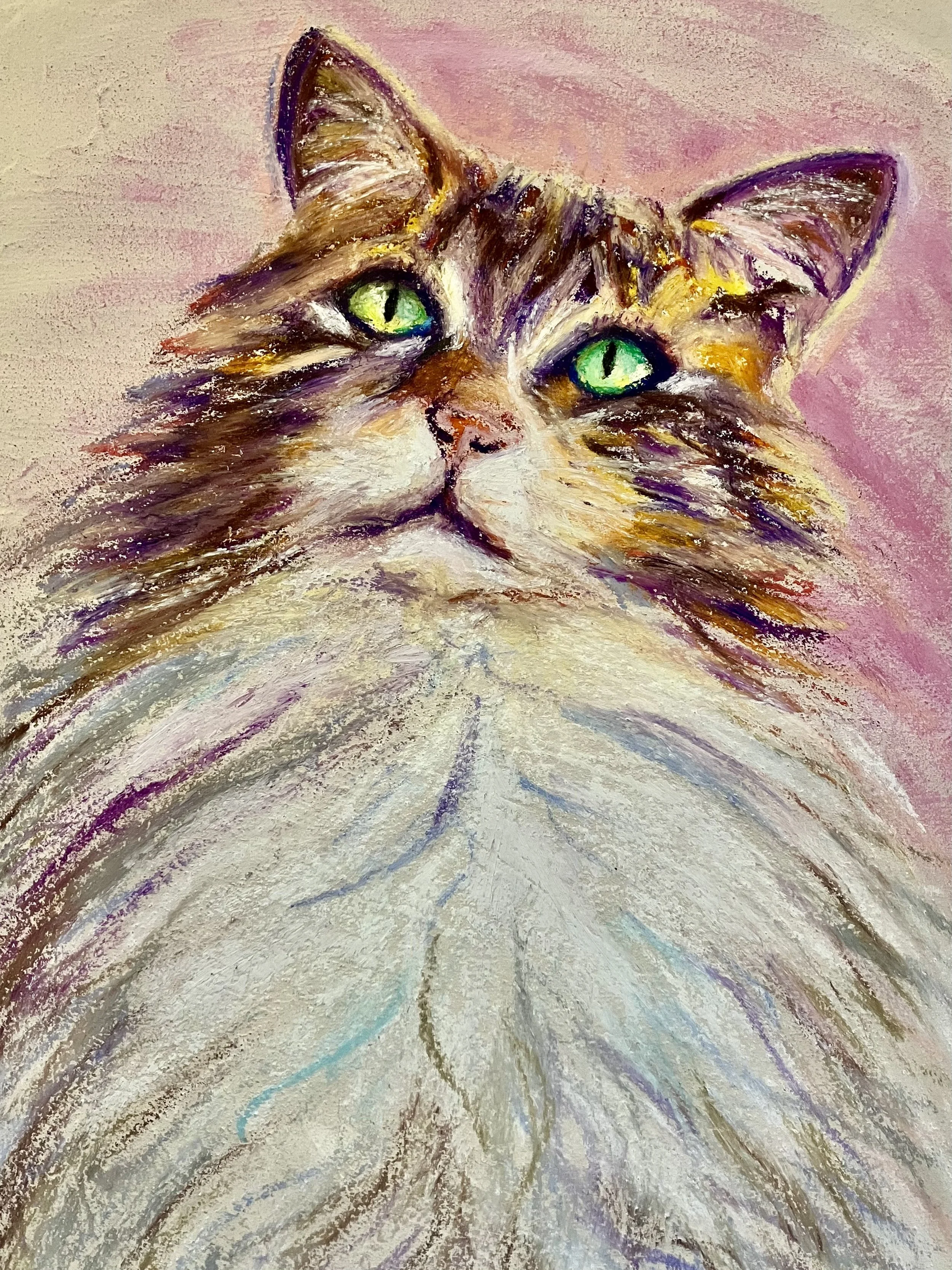 Glenda the cat