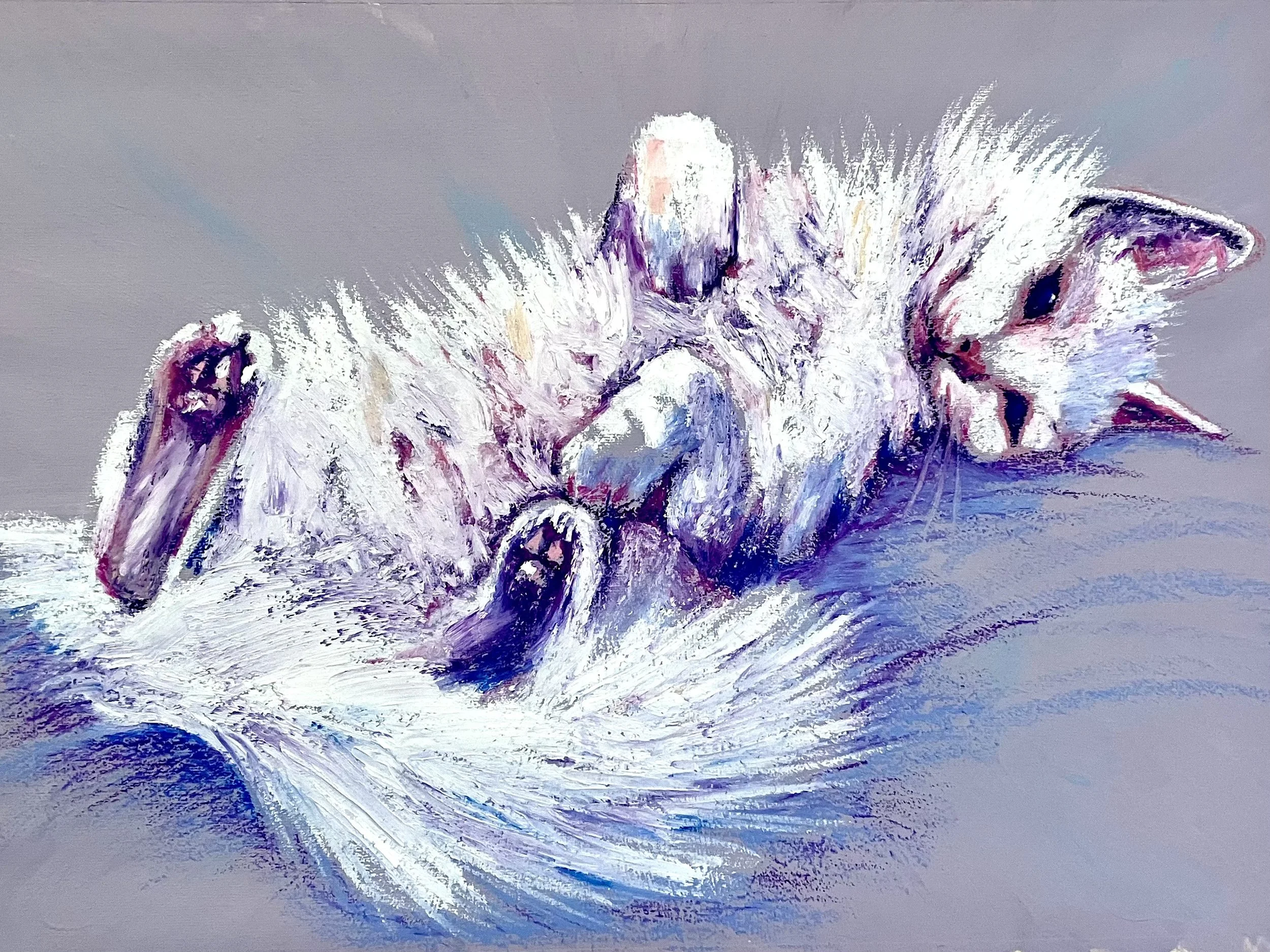 Oil pastel portrait of a Turkish Angora cat in whites, purples, and blues.