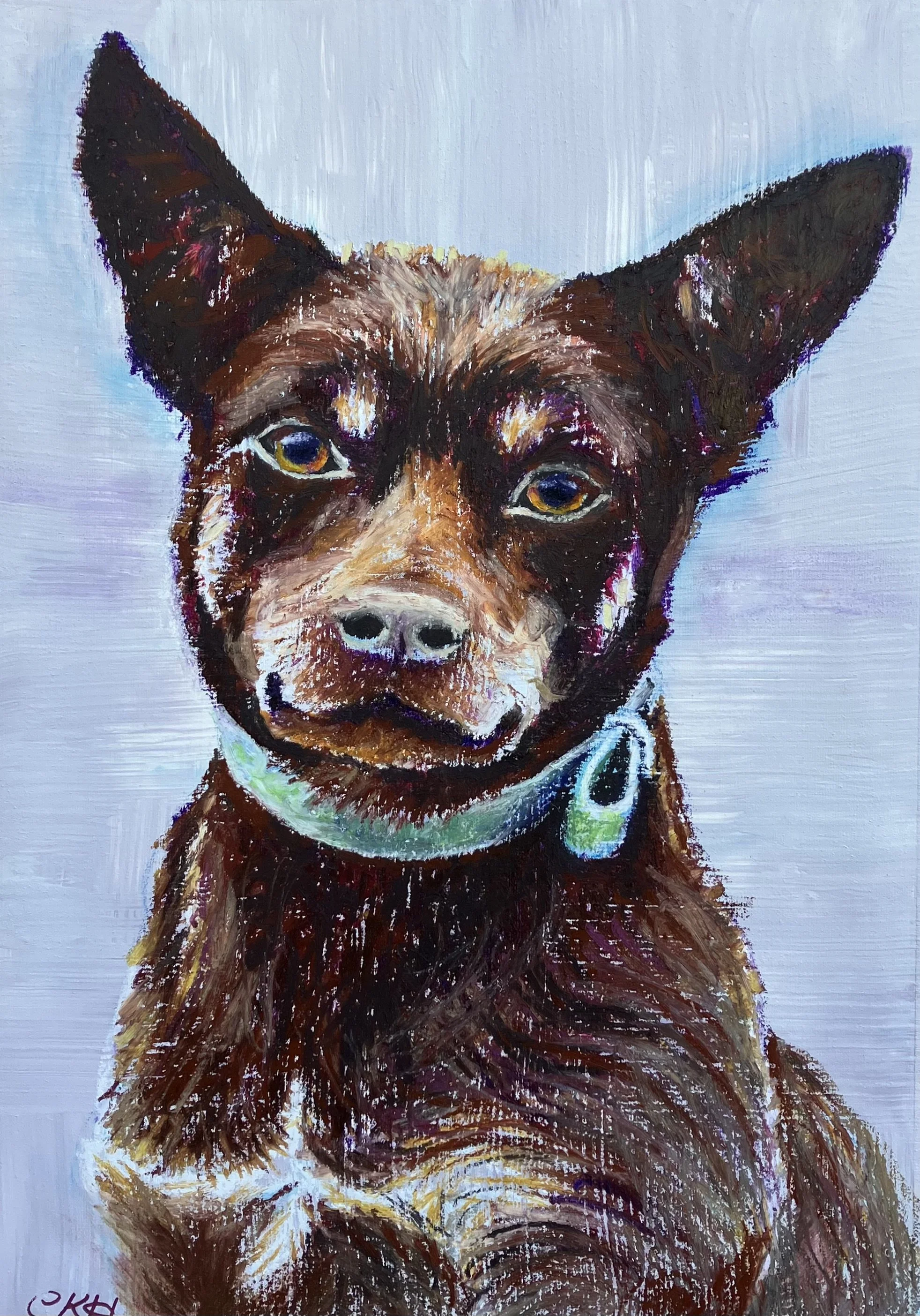 Kelpie Phoebe