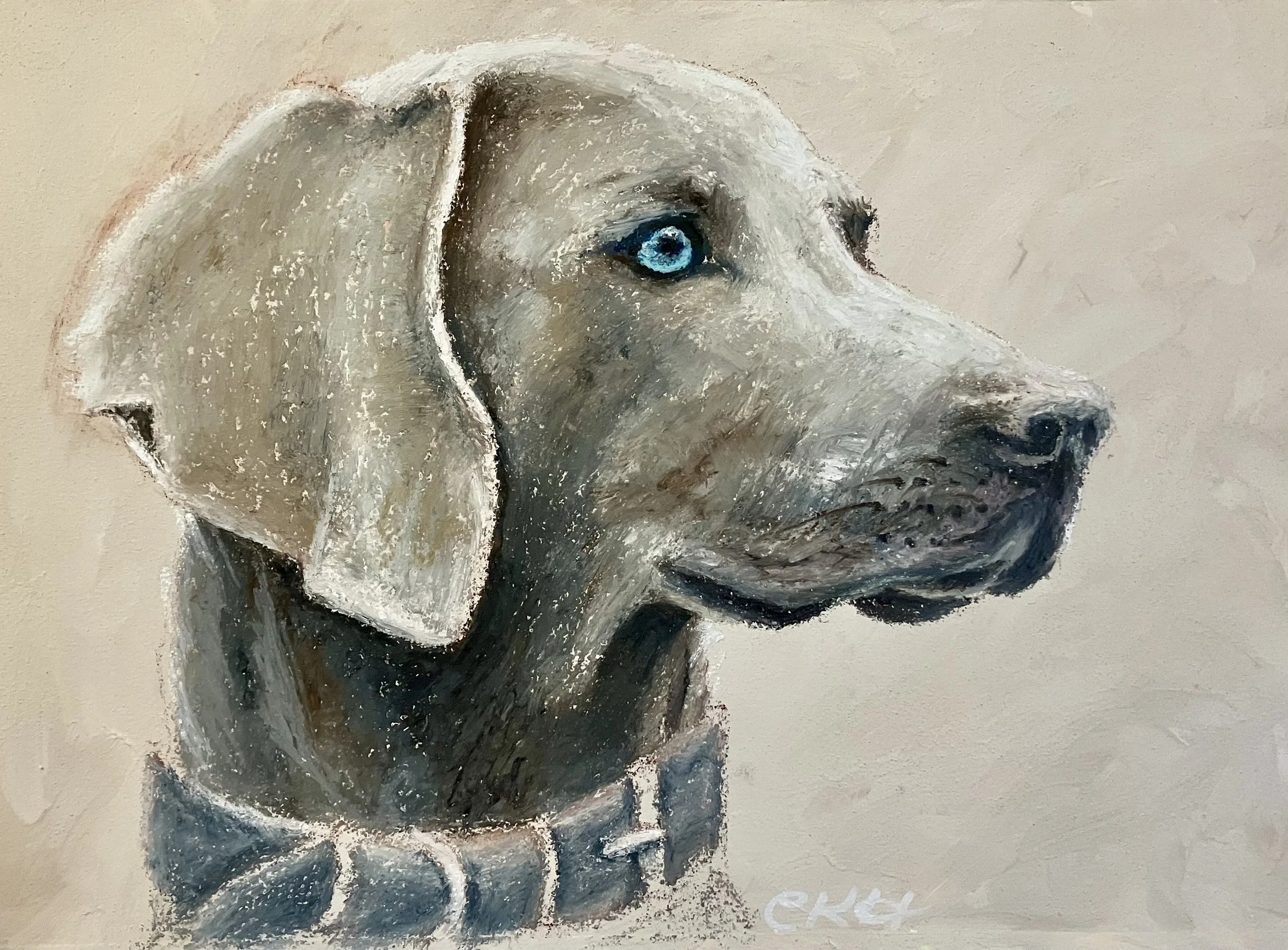 Oil pastel portrait of a Weimaraner with ice blue eyes