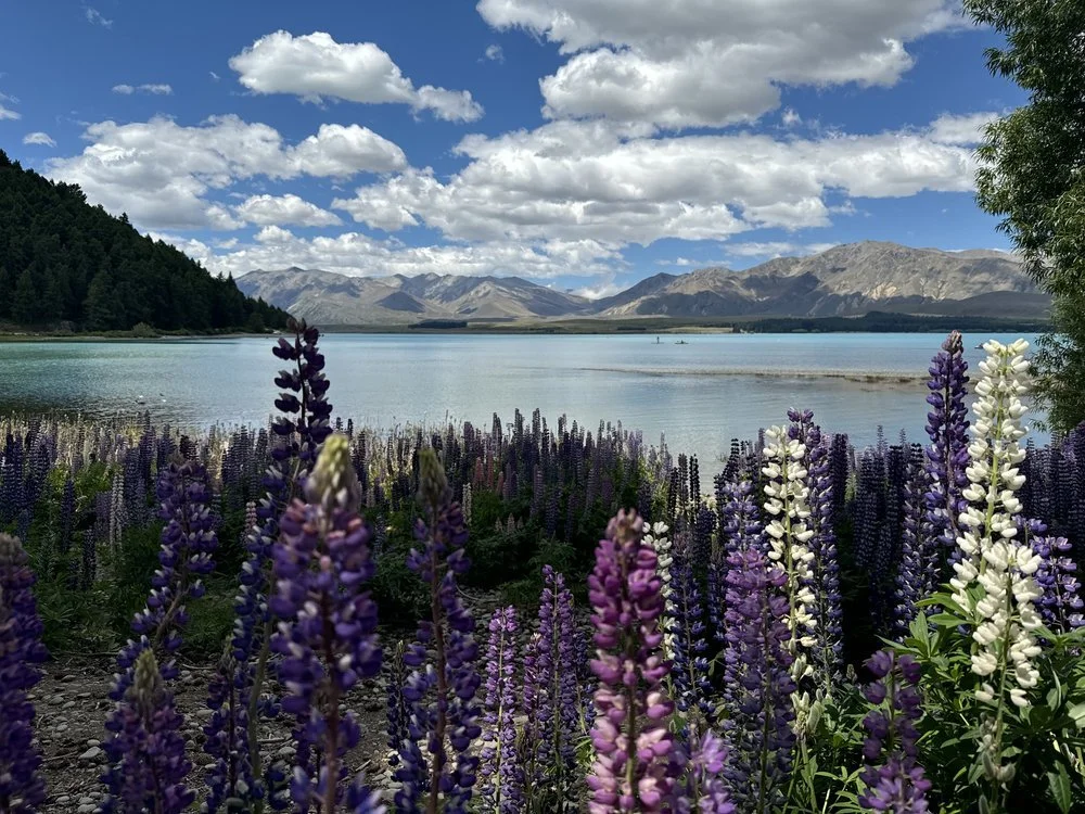 voorbeeld top 5 bestemmingen voor 2025 Nieuw Zeeland