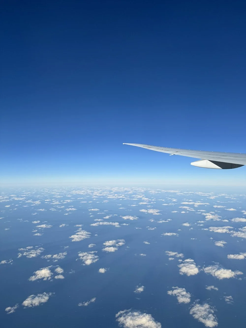 Uitzicht vanuit het vliegtuig
