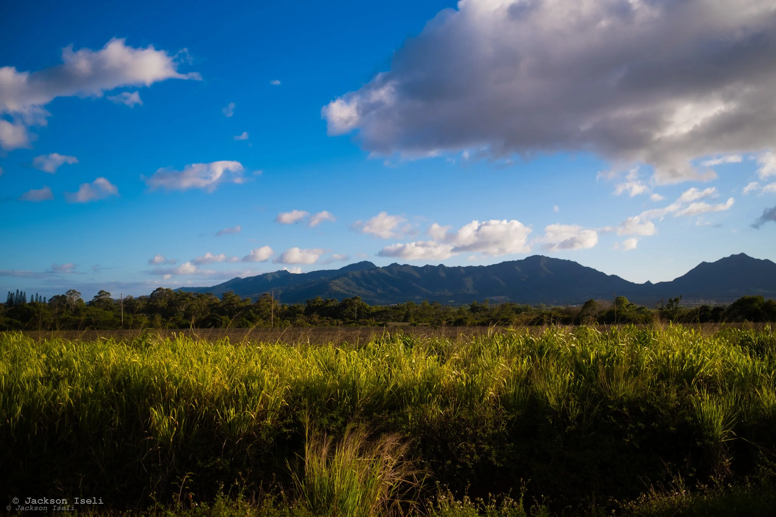 DSCF0596.jpg