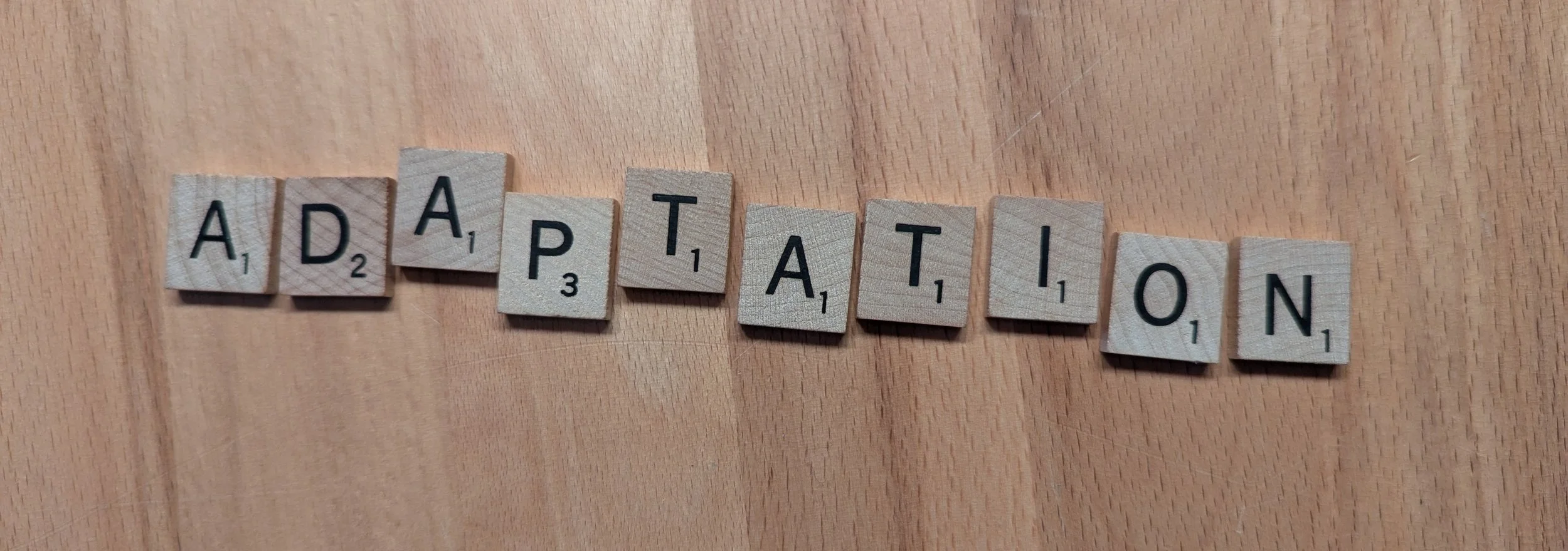 2026 Word of the Year: Adaptation