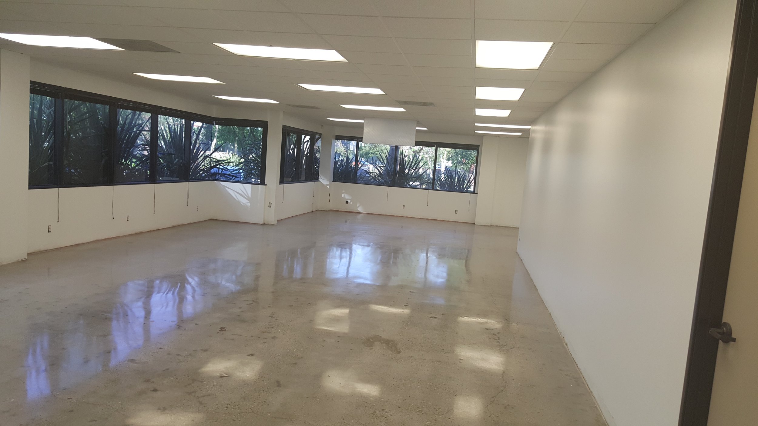 Empty office space with large windows, white walls, tiled ceiling with fluorescent lighting, and a polished concrete floor.