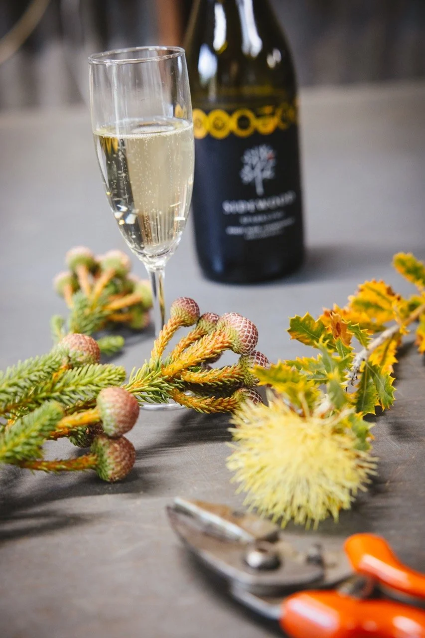 KFCo workshop bubbles.jpeg