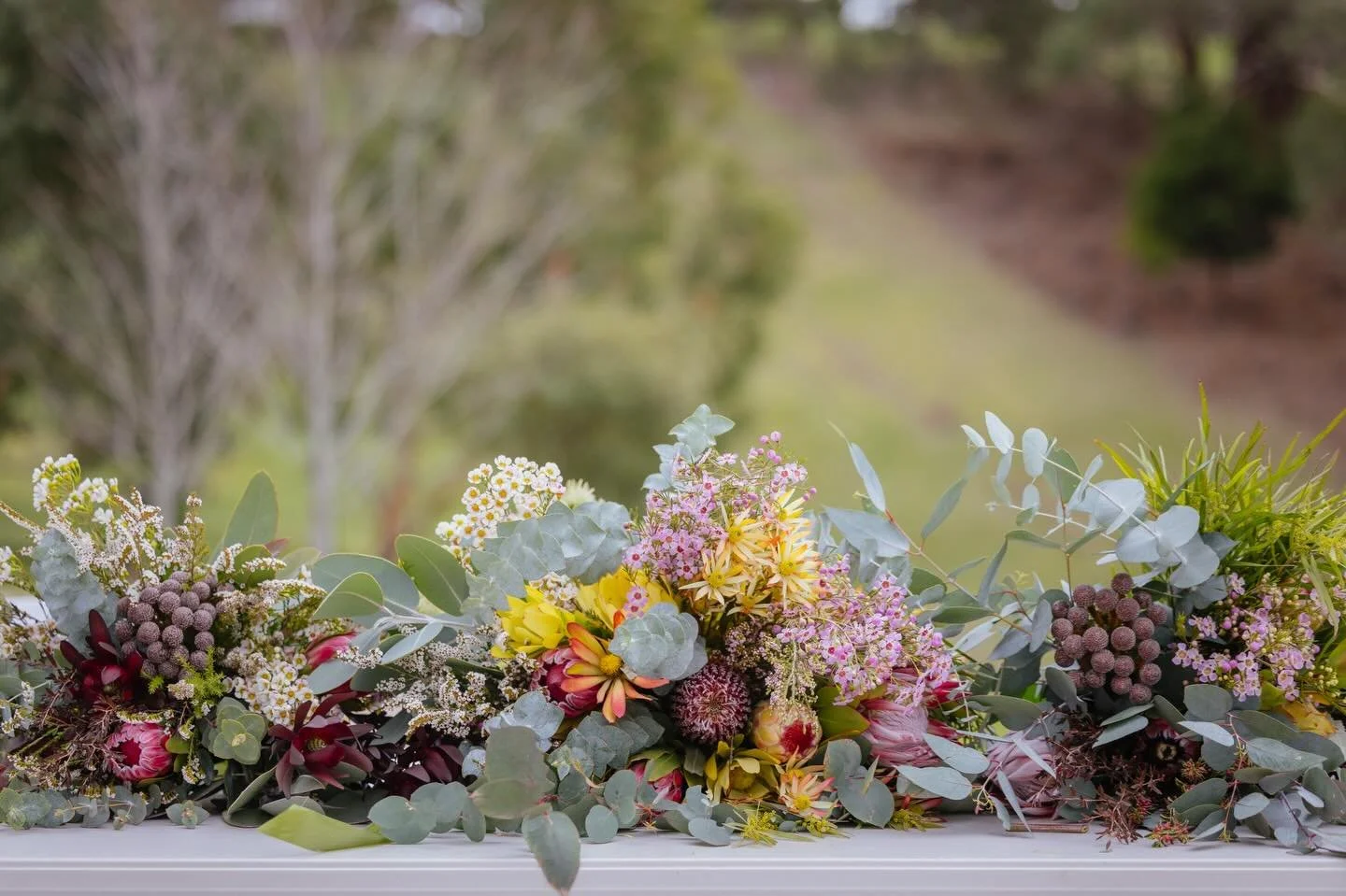 Paint This 🎨 

So happy to be hosting our very first landscaping workshop with the AMAZING  @tessbartholomew_  at Kidman Flowers. 

Happening on 23 May (Mother&rsquo;s Day gift perhaps? 👀)

Join us for a relaxed afternoon in nature and take home yo