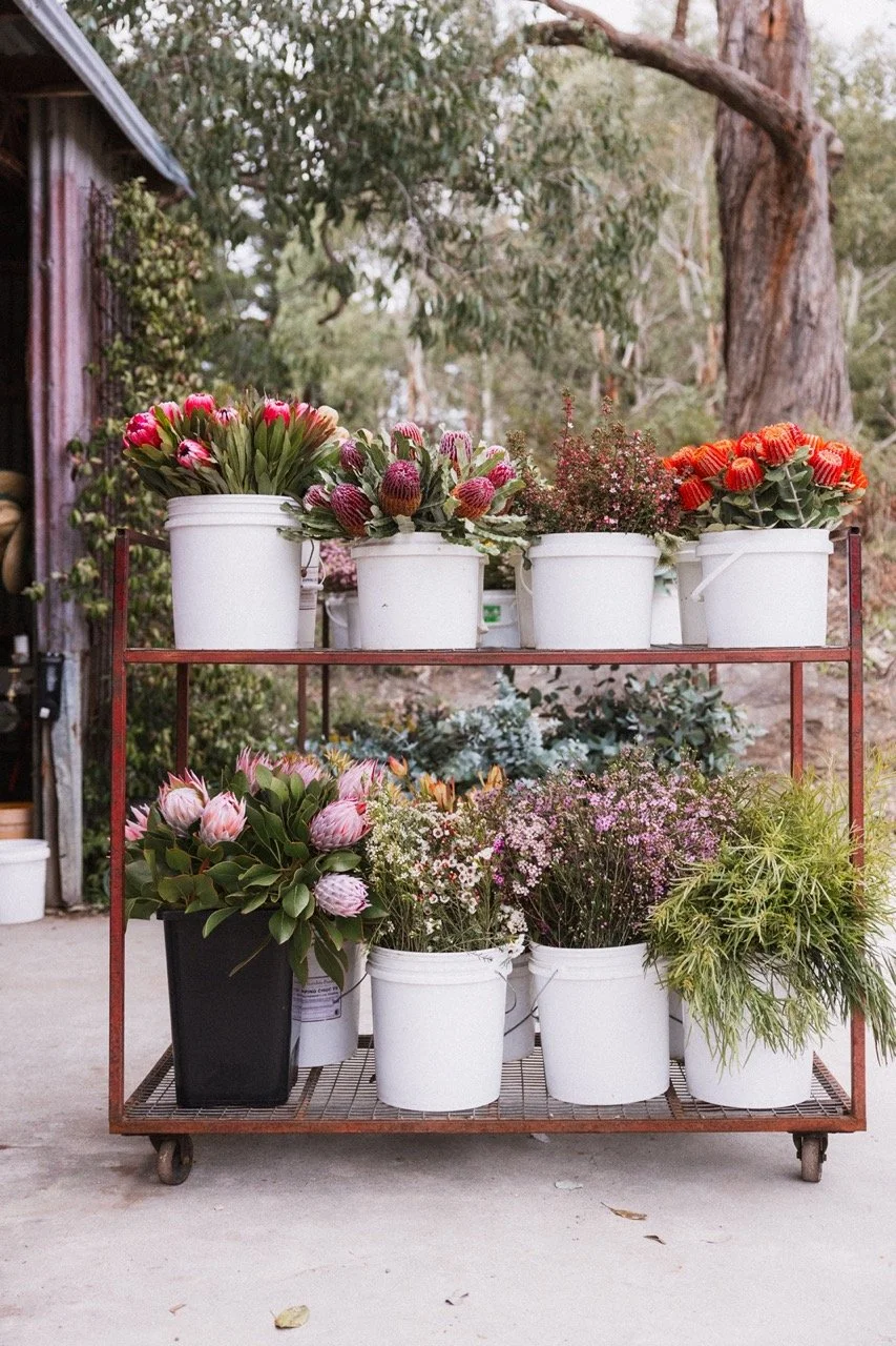 KFCo workshop flower trolley 3.jpeg