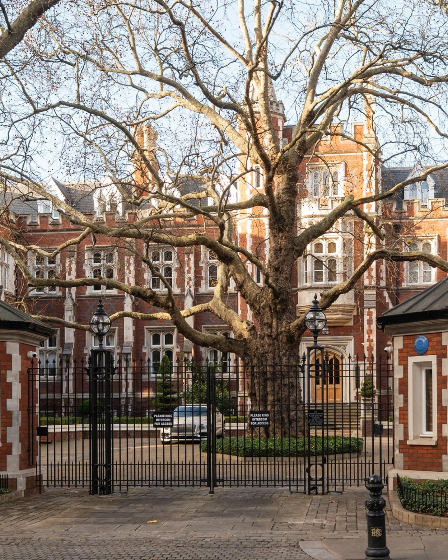 Where history meets modern tranquility

This Rose Square SW3 apartment has been photographed to capture the balance of heritage and contemporary comfort. Thoughtful imagery highlights the building&rsquo;s historic character, luxurious interiors, and 
