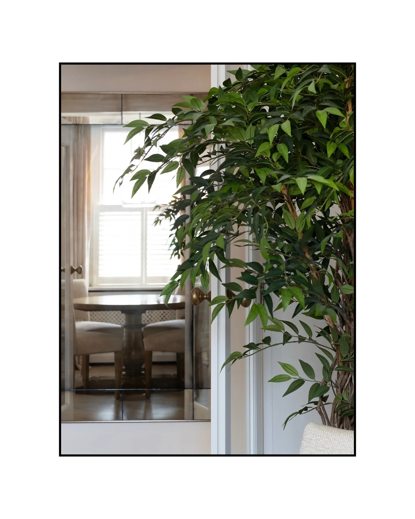 Classic Chelsea. Quietly exceptional. Swipe through. &rarr;

Slide 1 &mdash; Ficus tree, mirror, dining room glimpsed beyond
The details you notice before you even walk in. A good photographer finds them.

Slide 2 &mdash; Bedroom + white shaker kitch