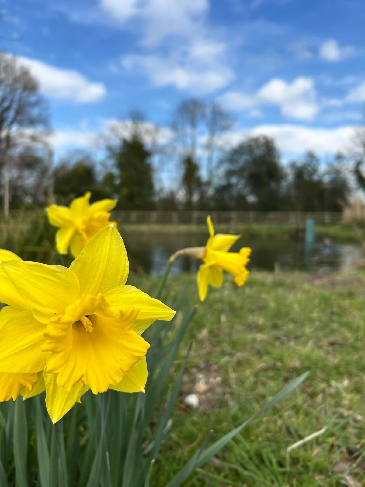 Welcoming in The Spring Equinox