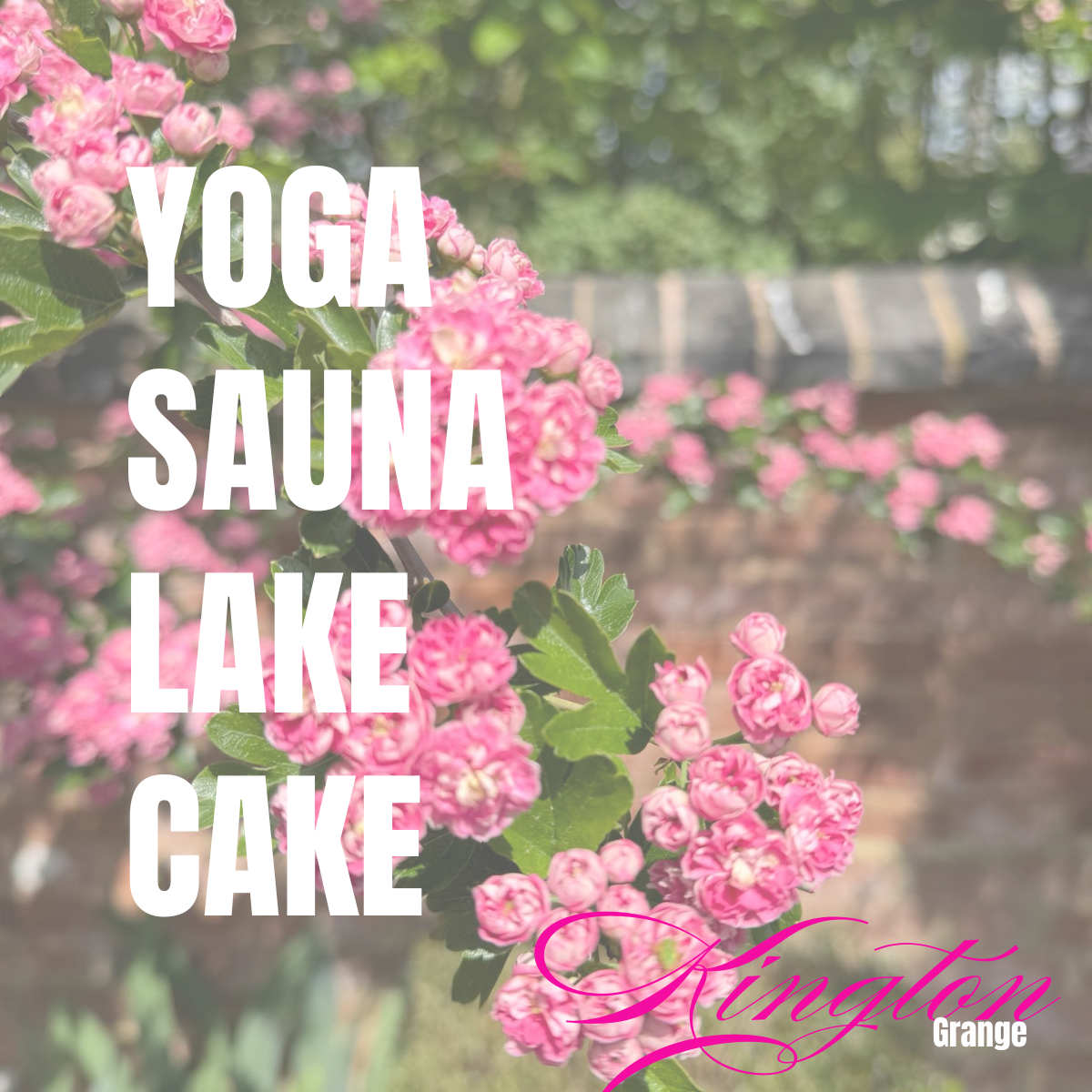 Yoga, Sauna, Lake &amp; Cake 