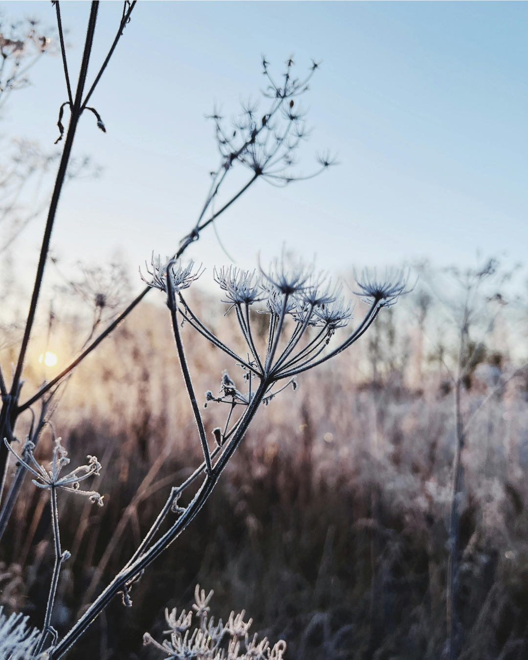 Trauma-informed Massage: What That Means In My Practice