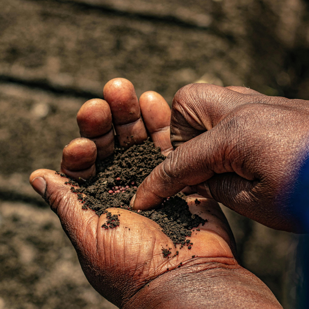Indigenous African Agriculture and the Roots of Sustainability