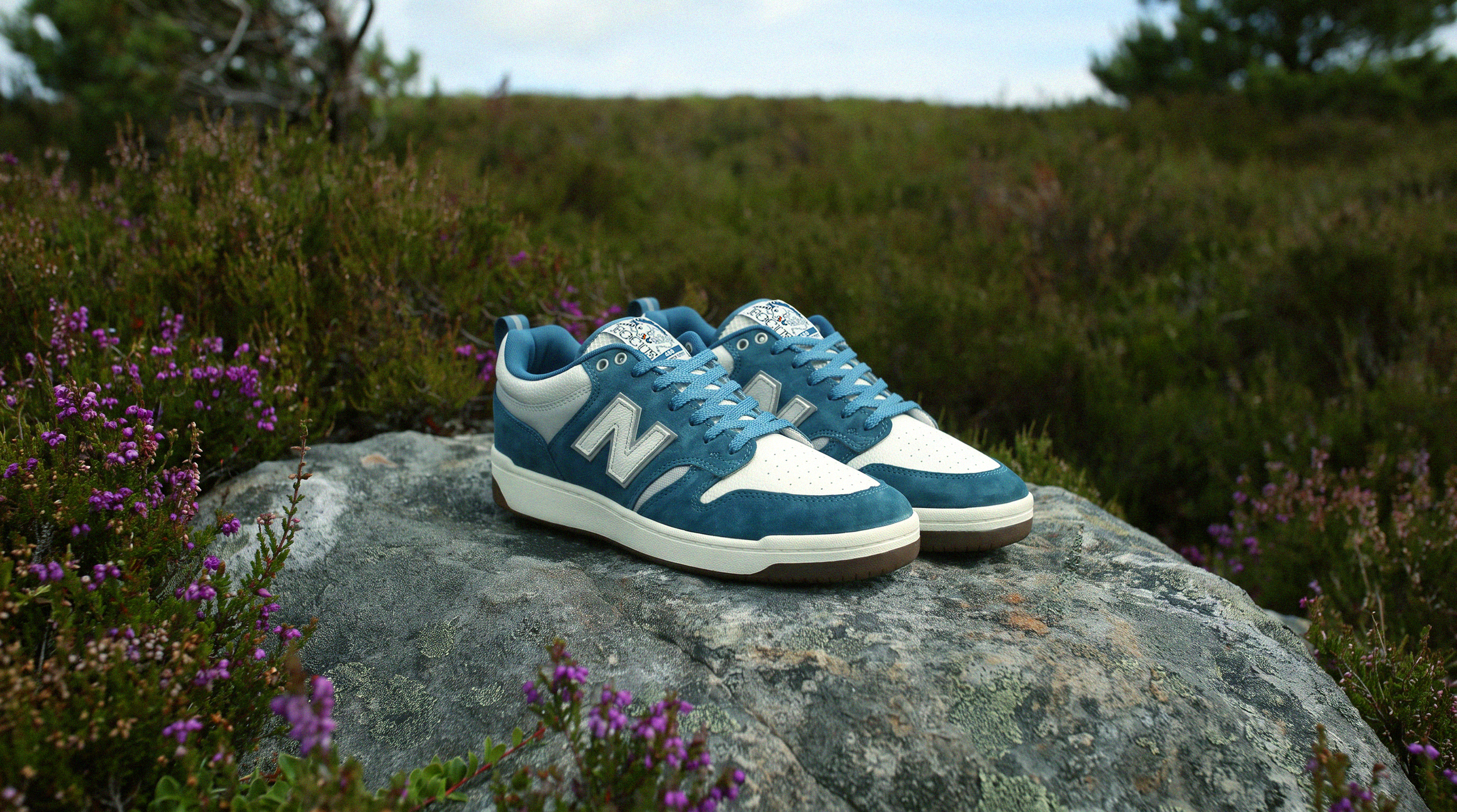 NBSHOE.png
