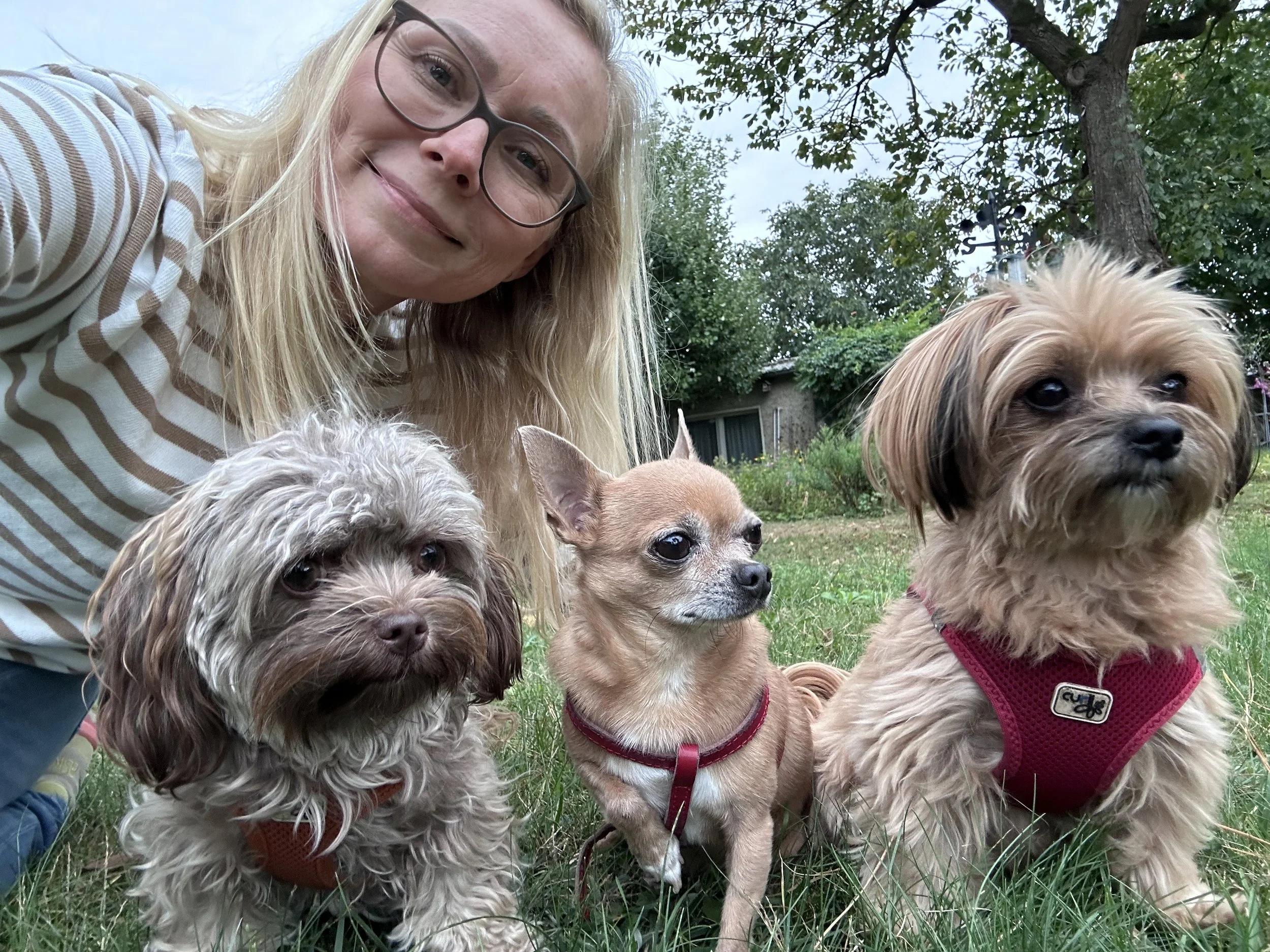 Zufriedene Kunden: Ein Mädchen mit braunen, lockigen Haaren und einem Hund mit schwarzem und weißem Fell, beide lächeln in die Kamera, im Hintergrund unscharf Herbstlaub.