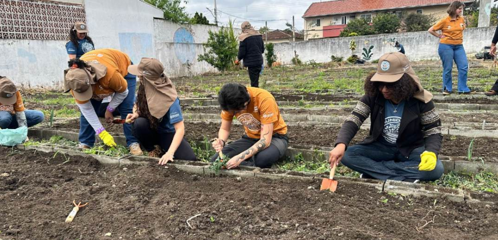 Plantando oportunidades - boletim #4</span>